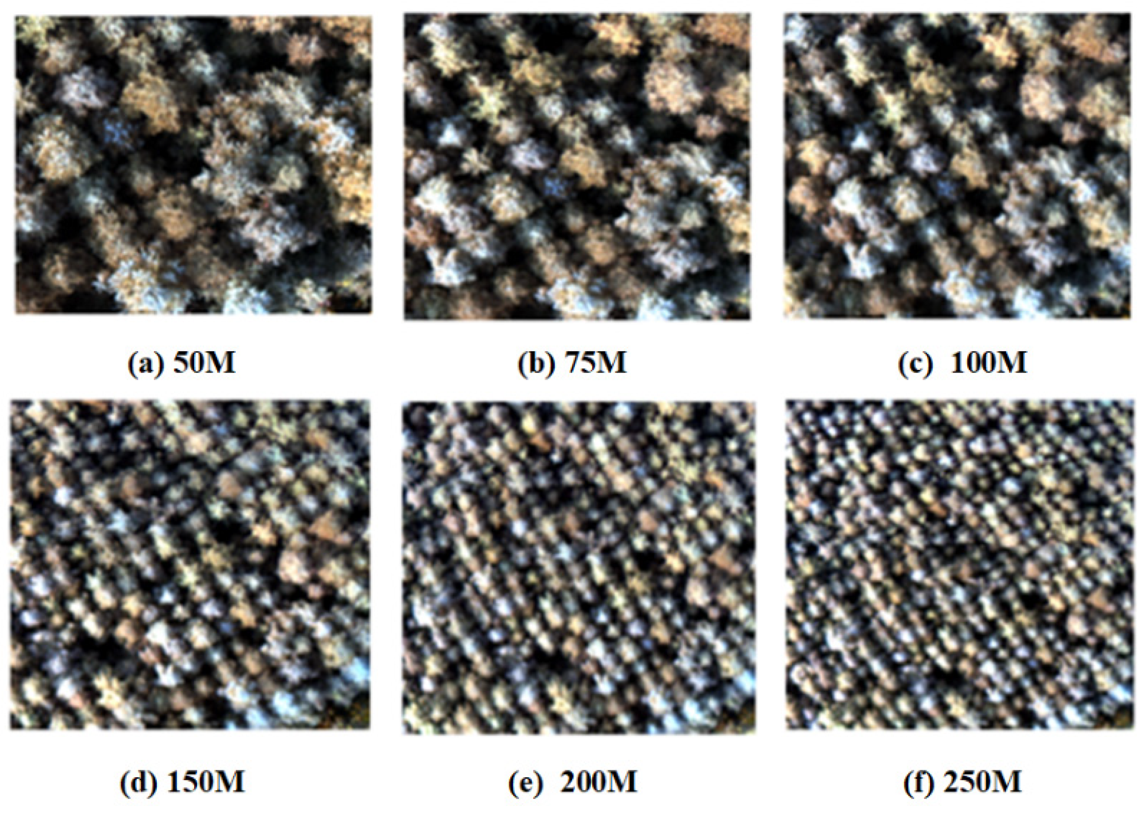 Remotesensing 17 01080 g003