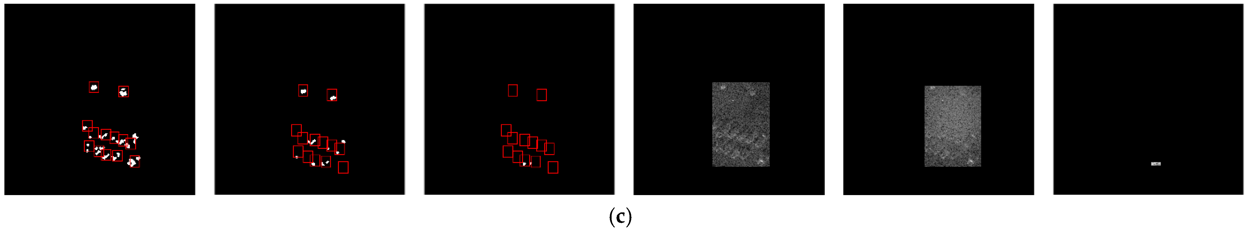 Remotesensing 17 01101 g005b