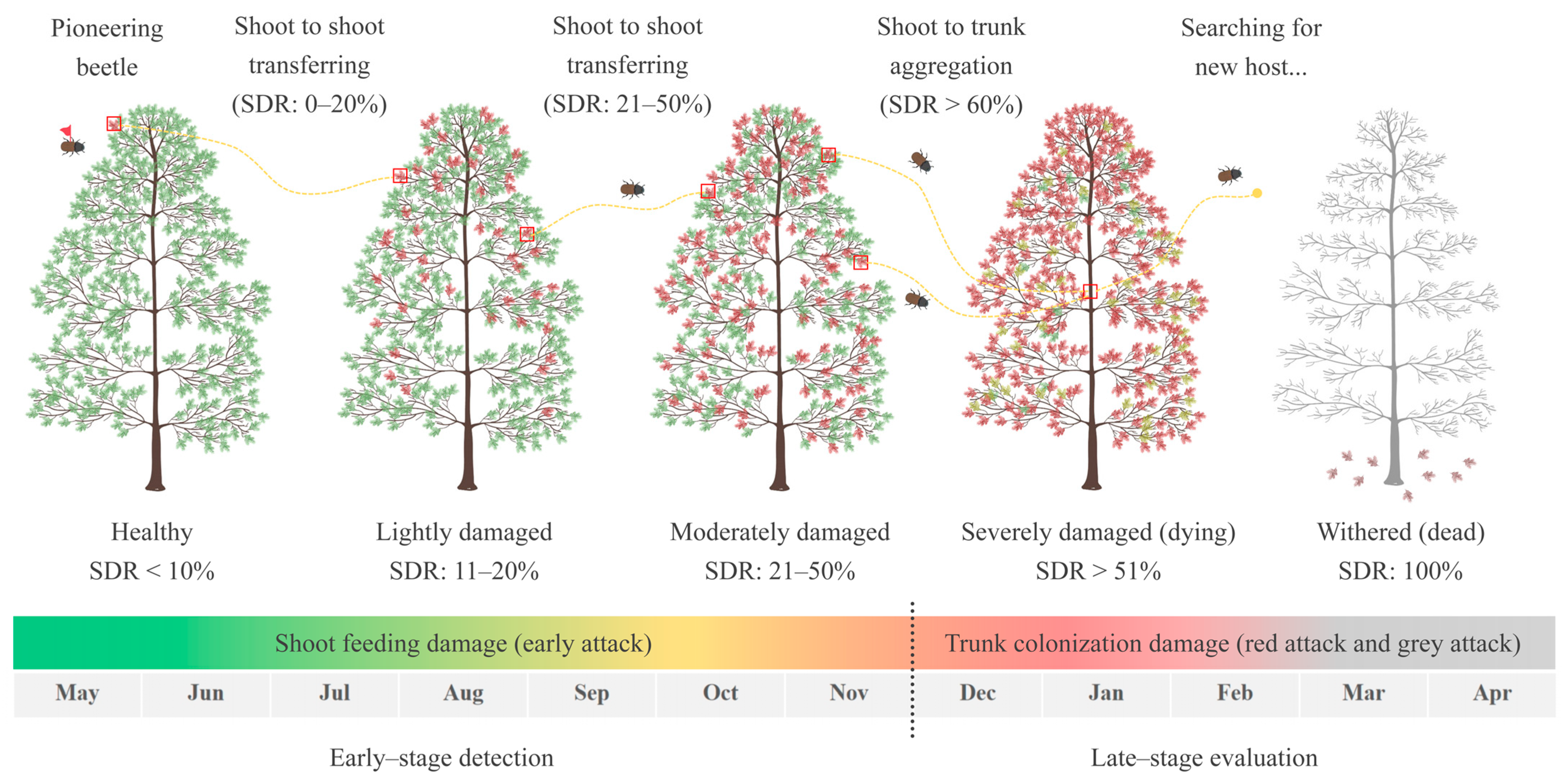 Remotesensing 17 01109 g001