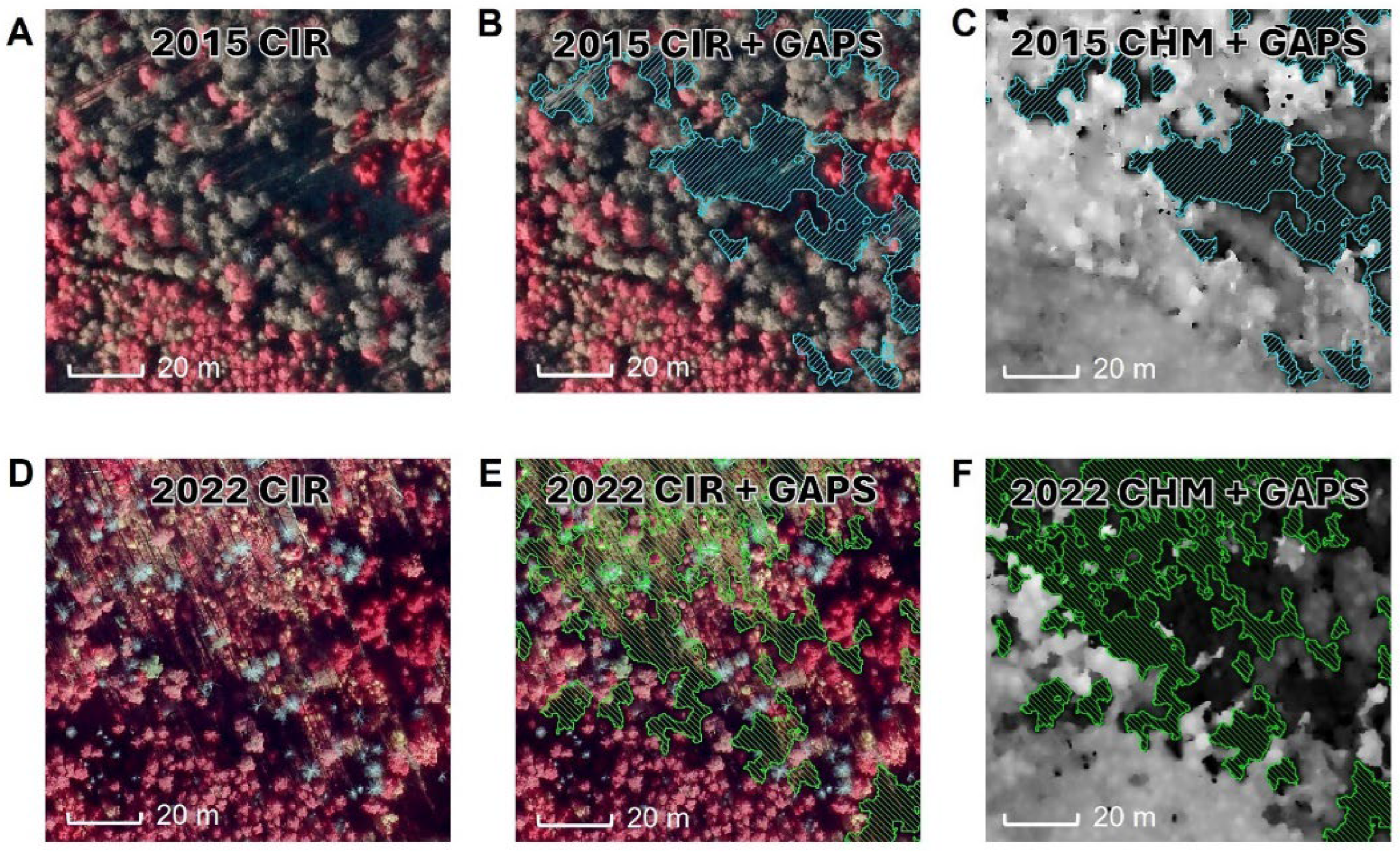 Remotesensing 17 01149 g010