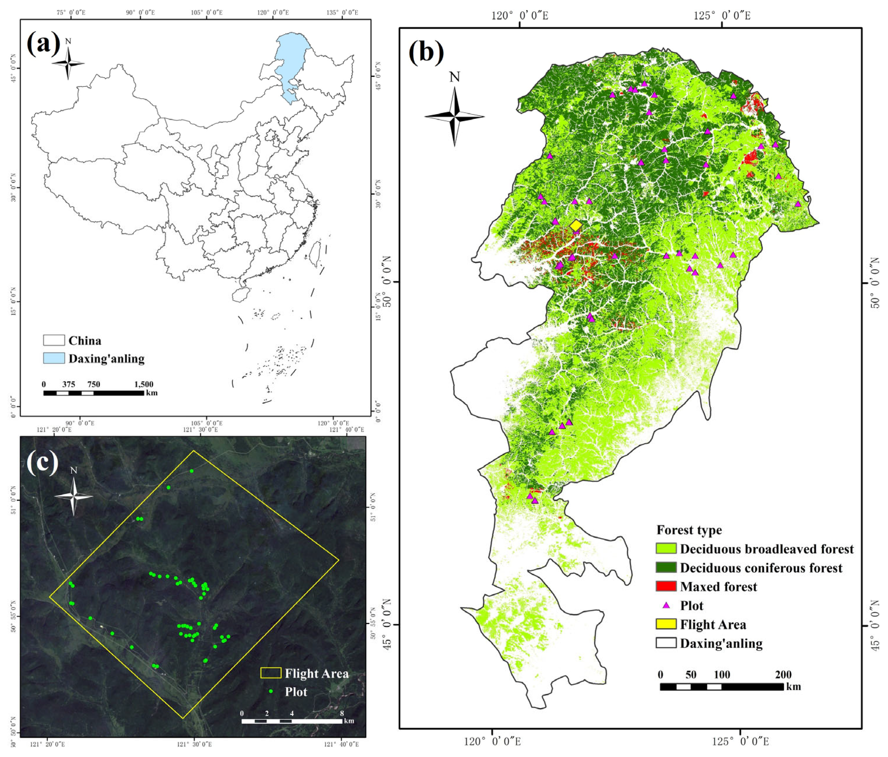 Remotesensing 17 01163 g001 Remotesensing 17 01163 g001