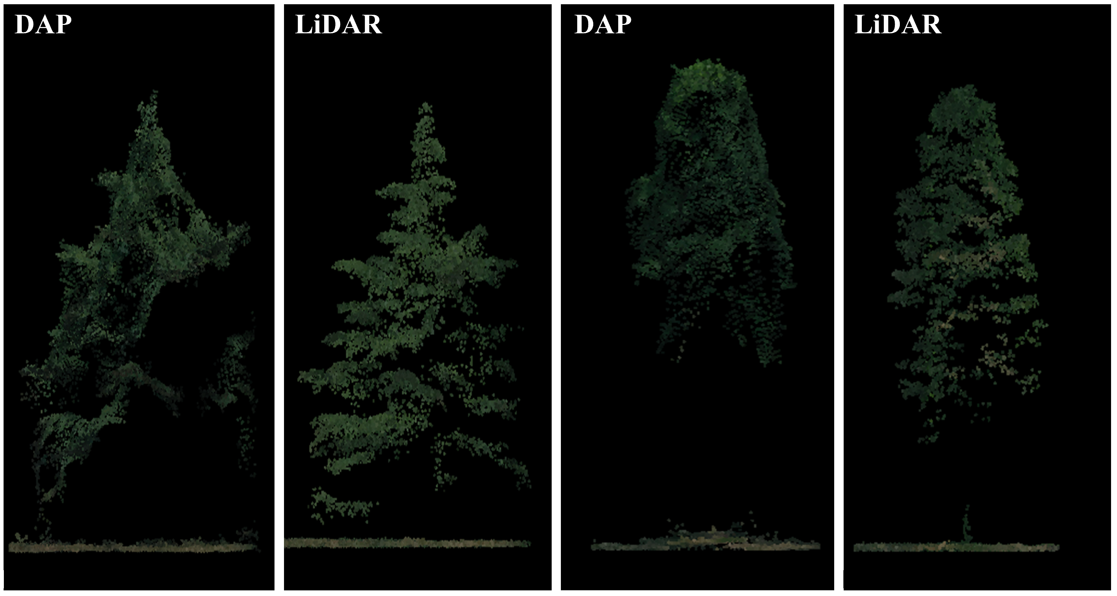 Remotesensing 17 01212 g004