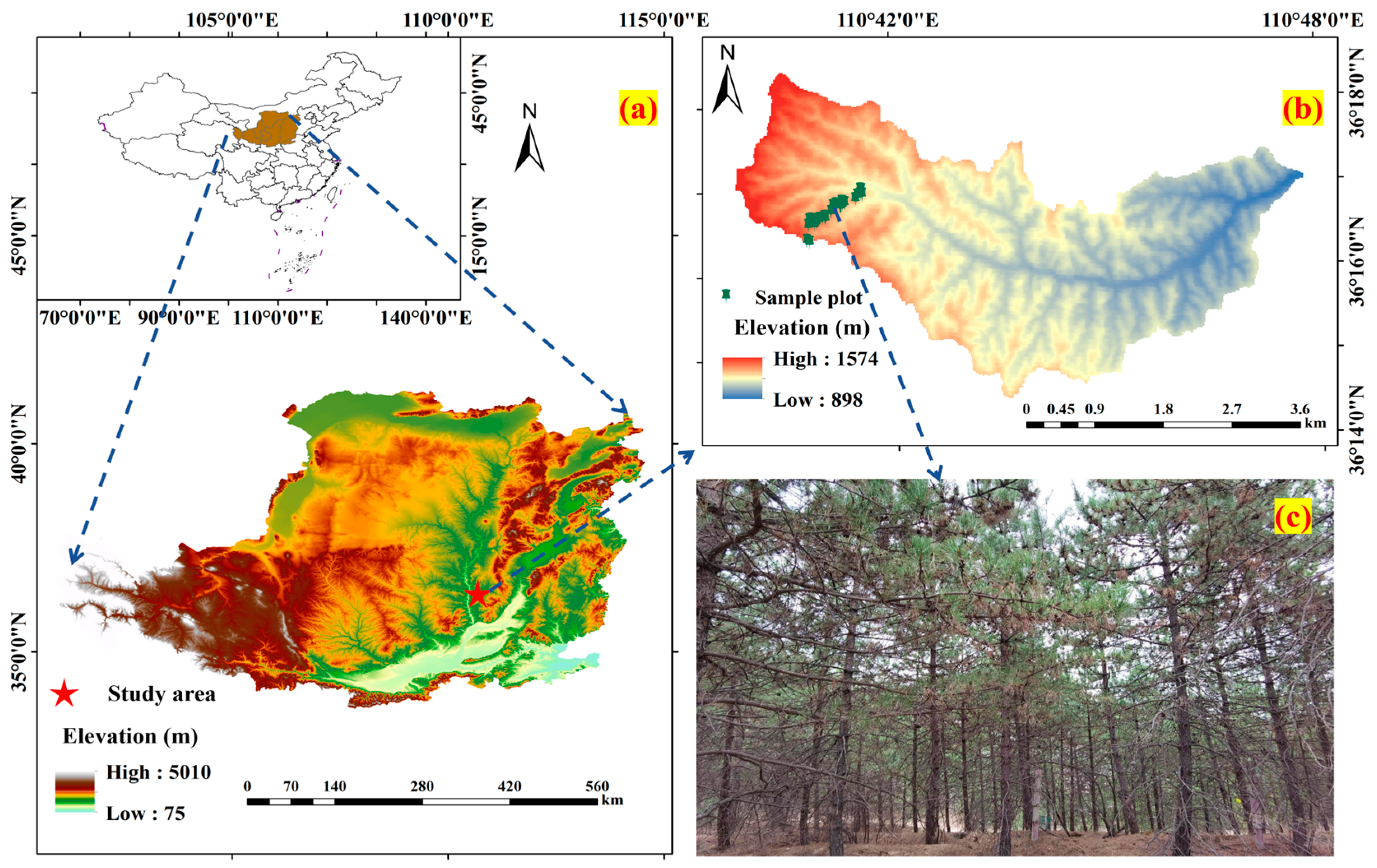 Remotesensing 17 01228 g001