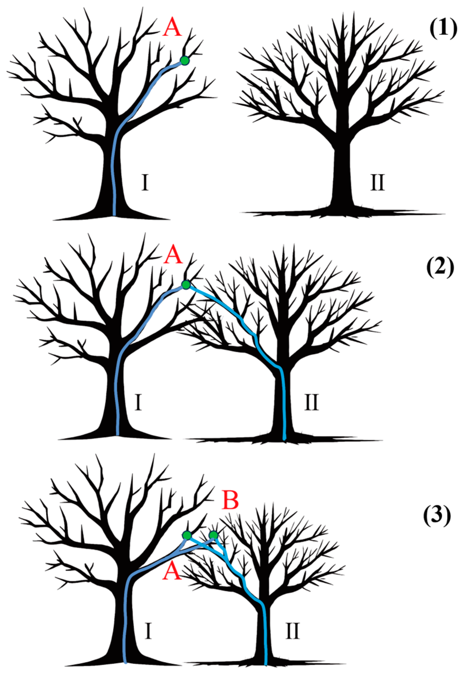 Remotesensing 17 01228 g0a2