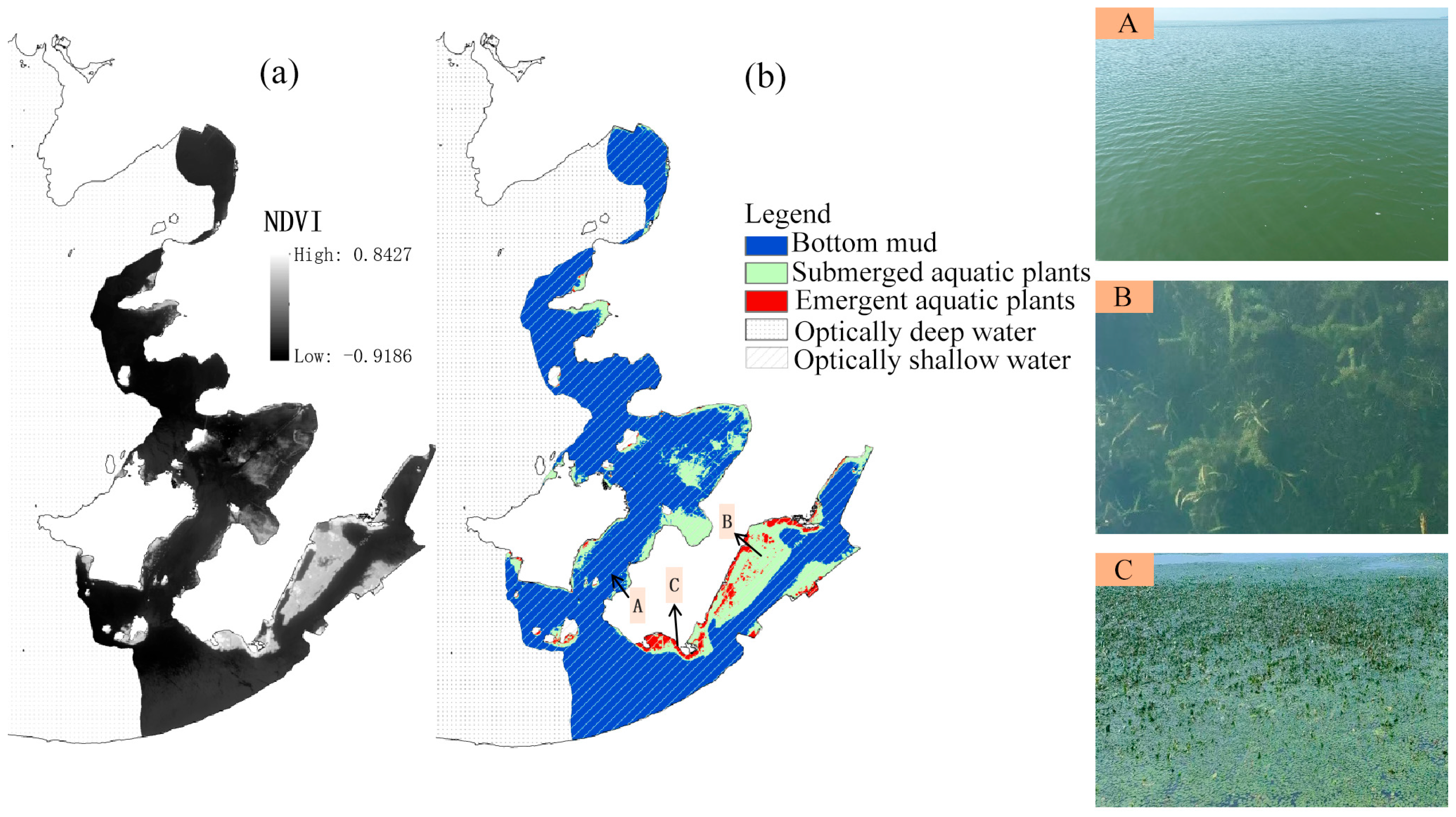 Remotesensing 17 01299 g006