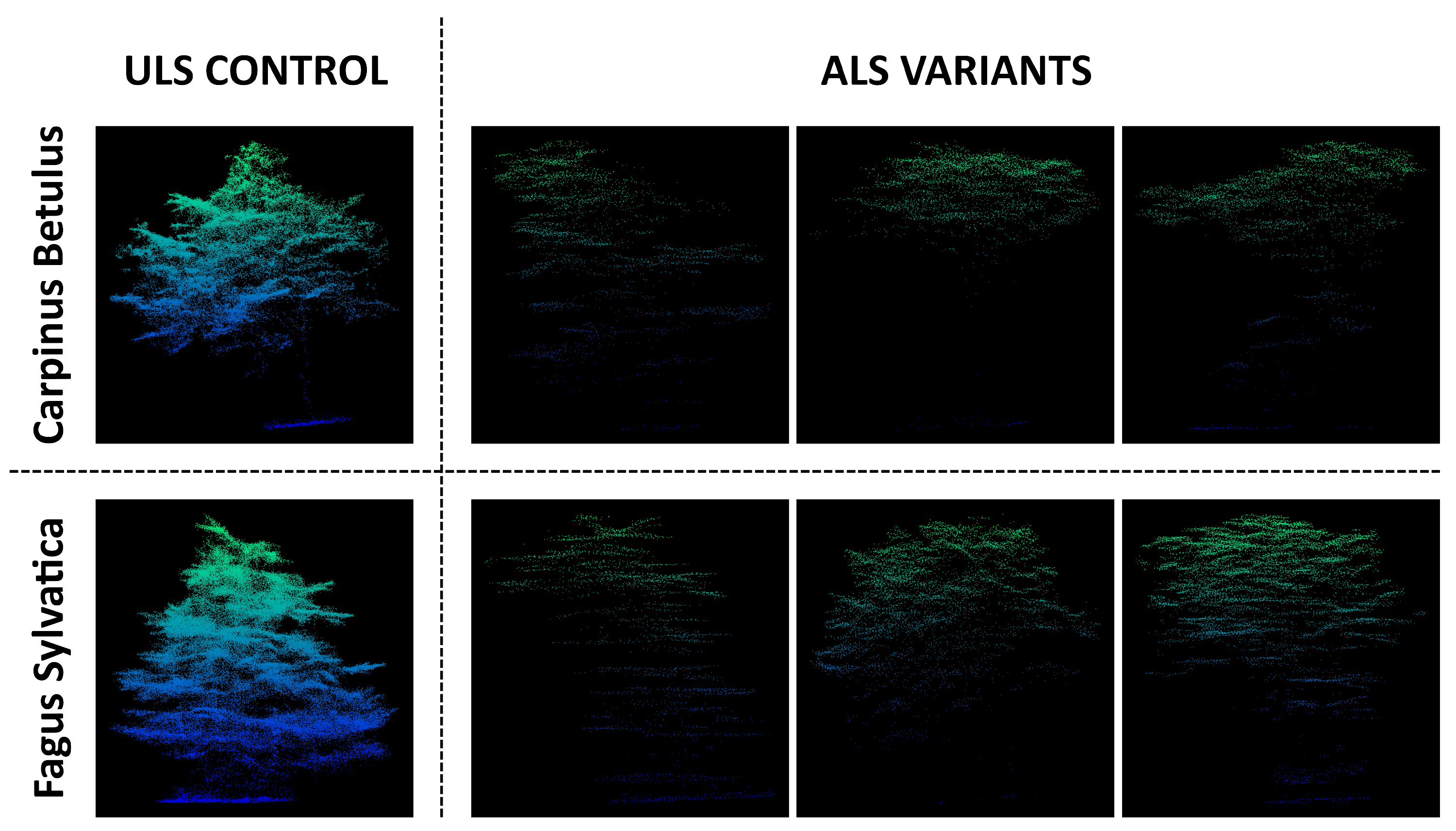 Remotesensing 17 01304 g008