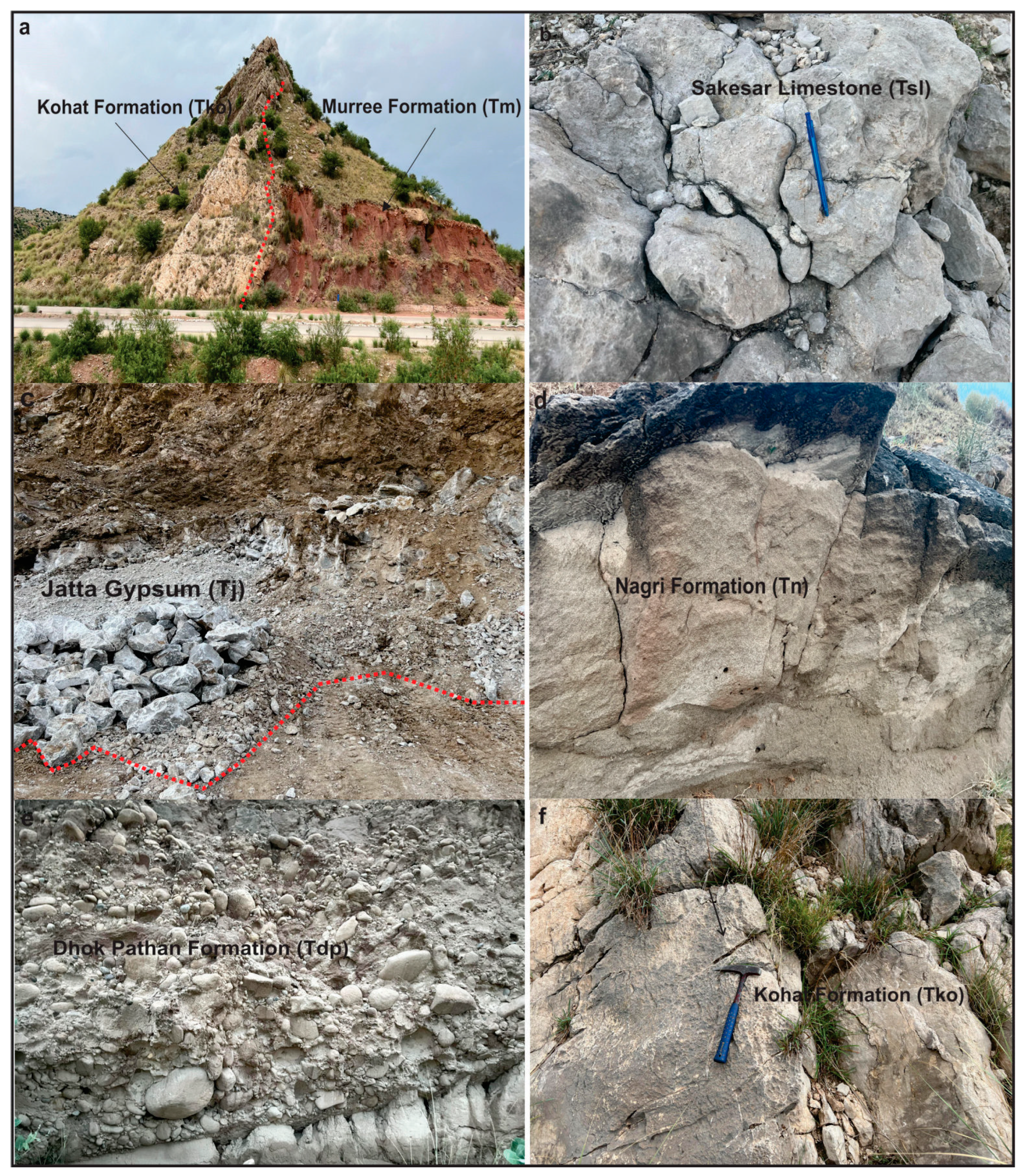 Remotesensing 17 01356 g010