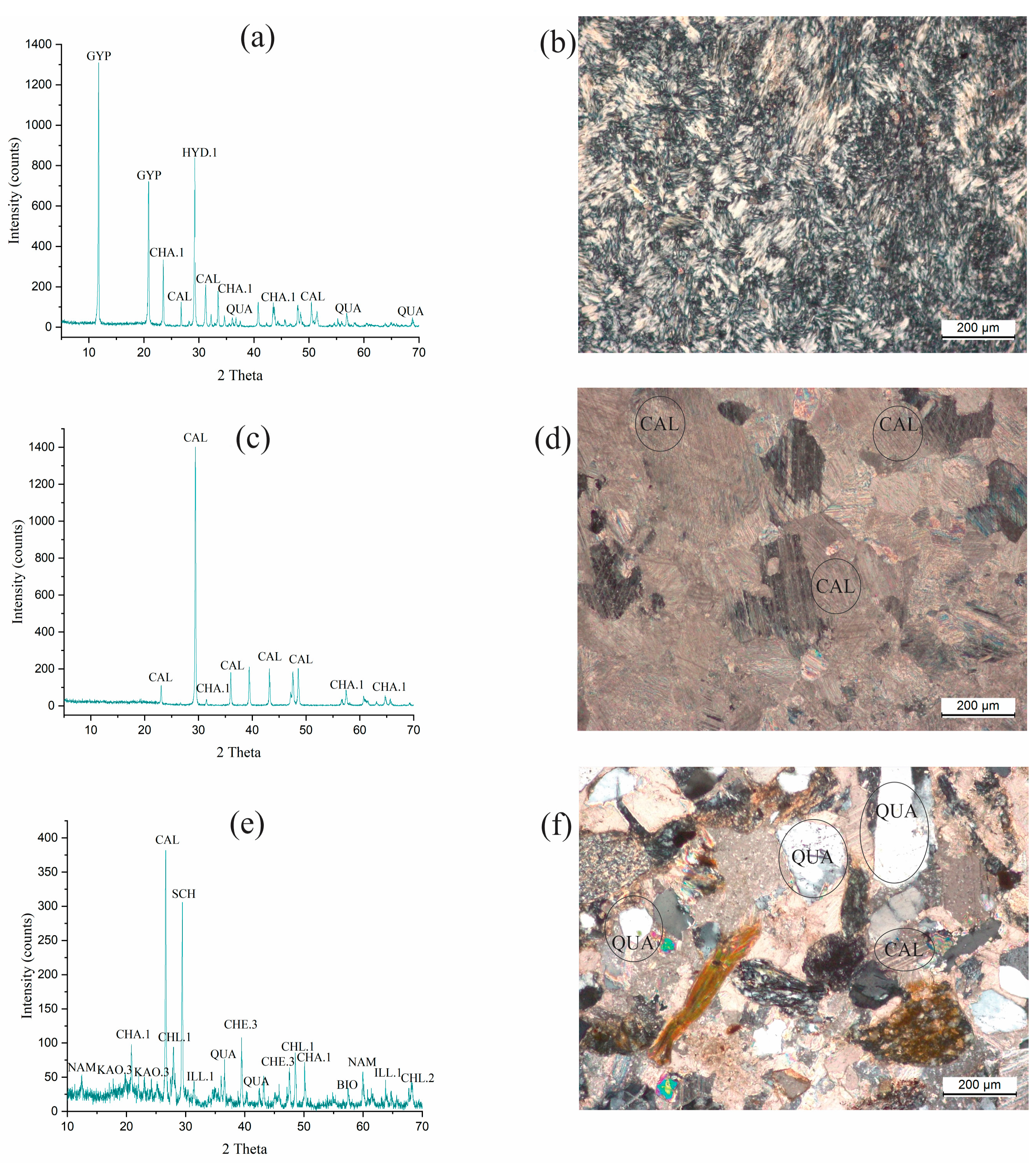 Remotesensing 17 01356 g012