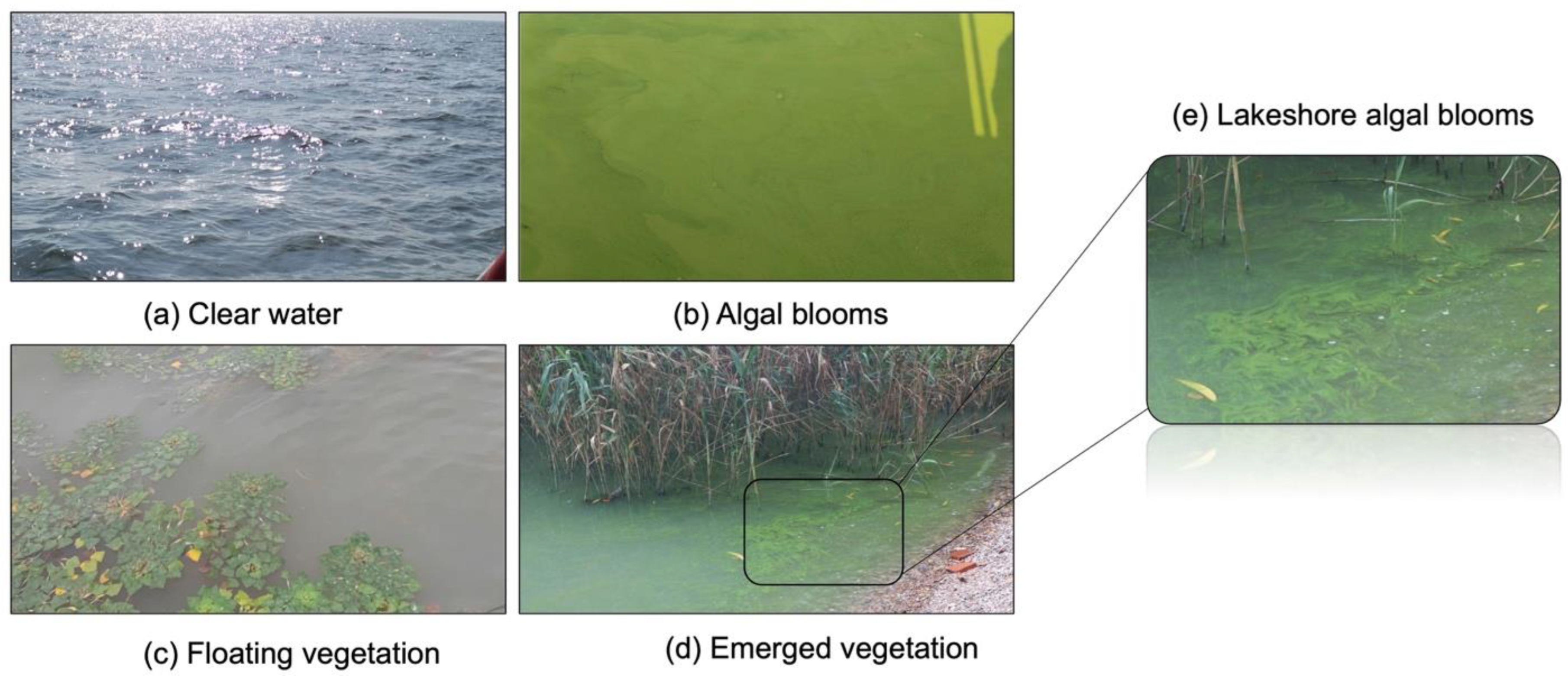 Remotesensing 17 01381 g007