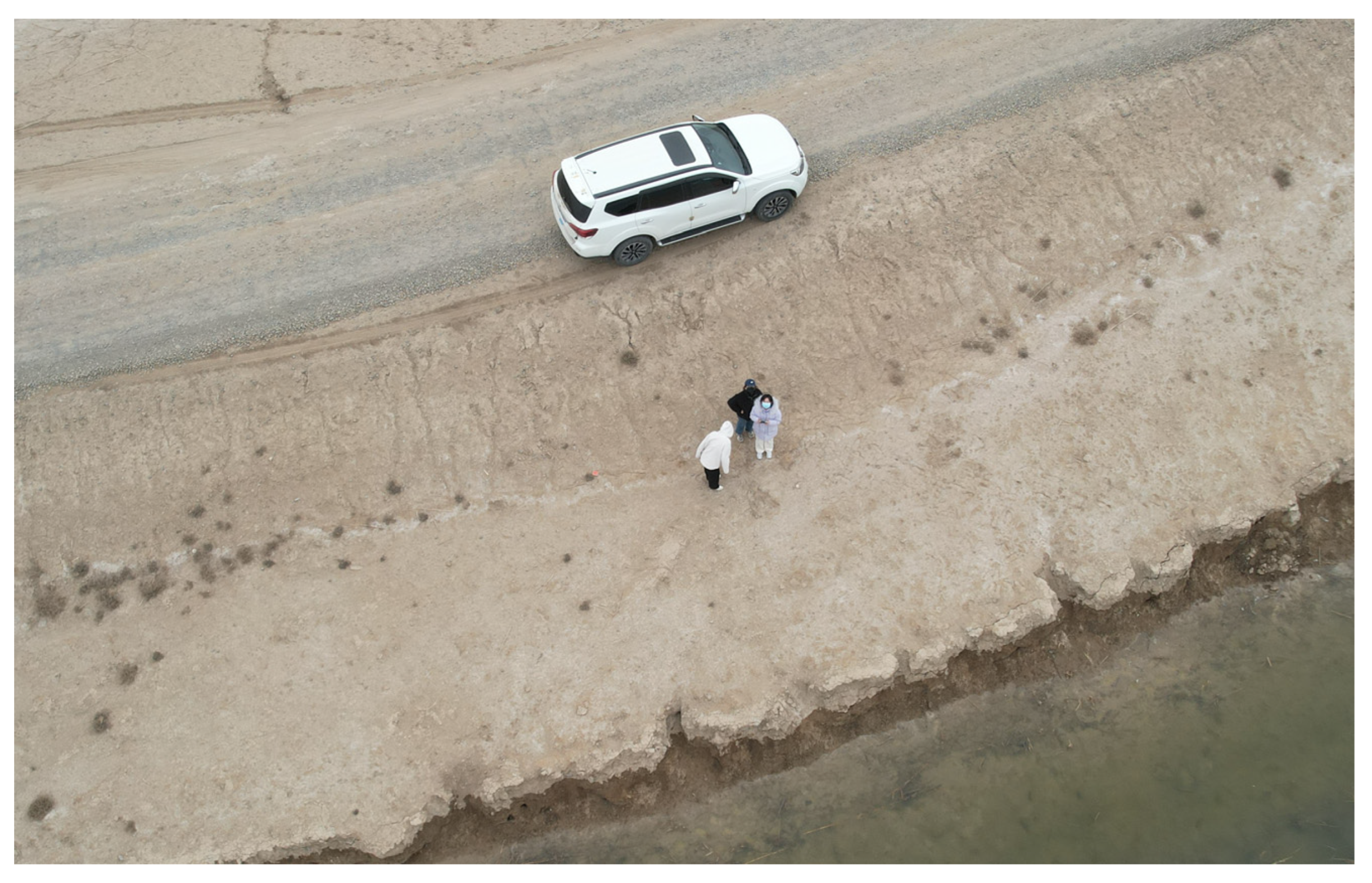 Remotesensing 17 01398 g005