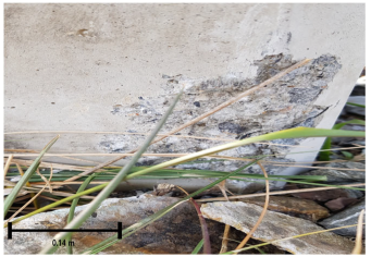 Remotesensing 17 01400 i035