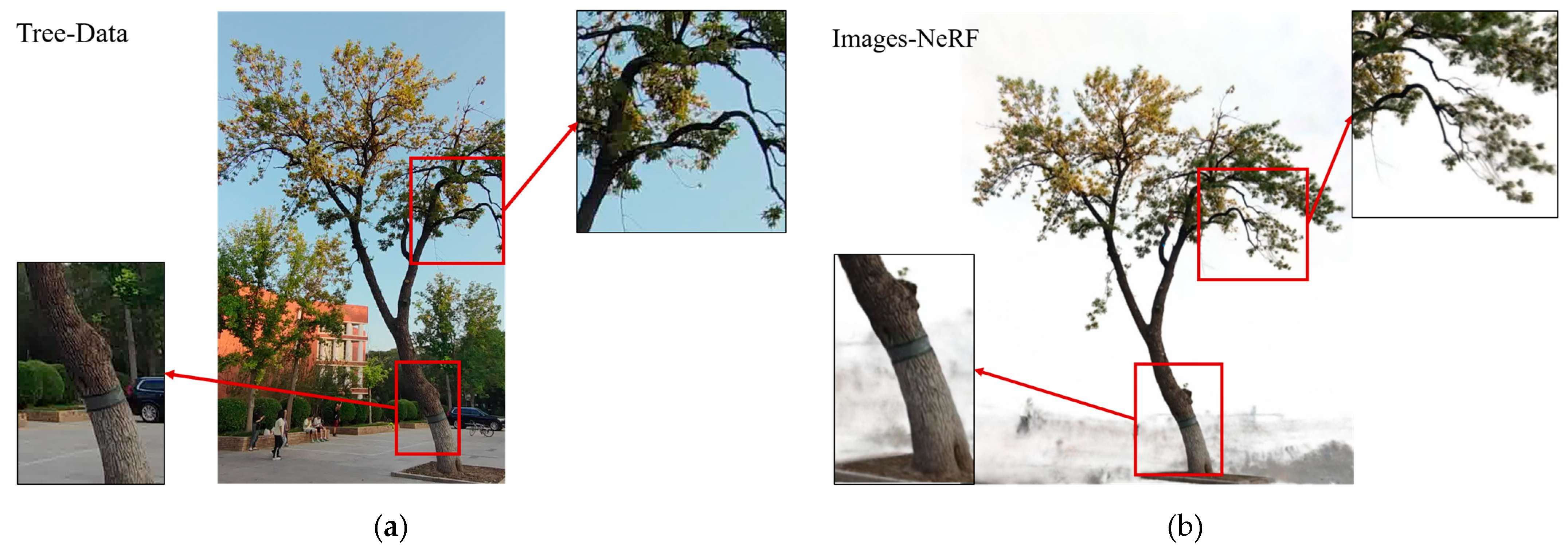 Remotesensing 17 01473 g006