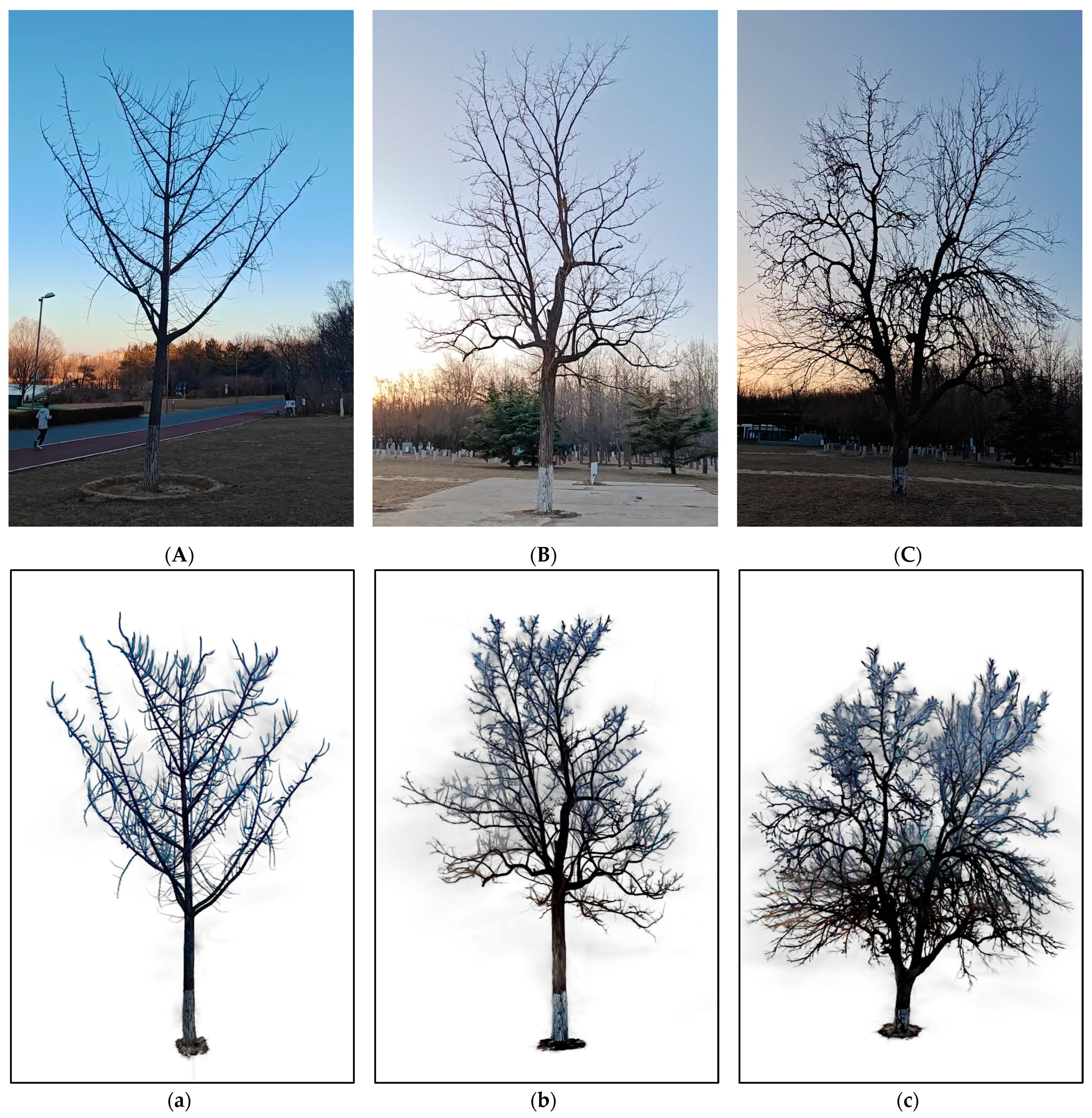 Remotesensing 17 01473 g008a