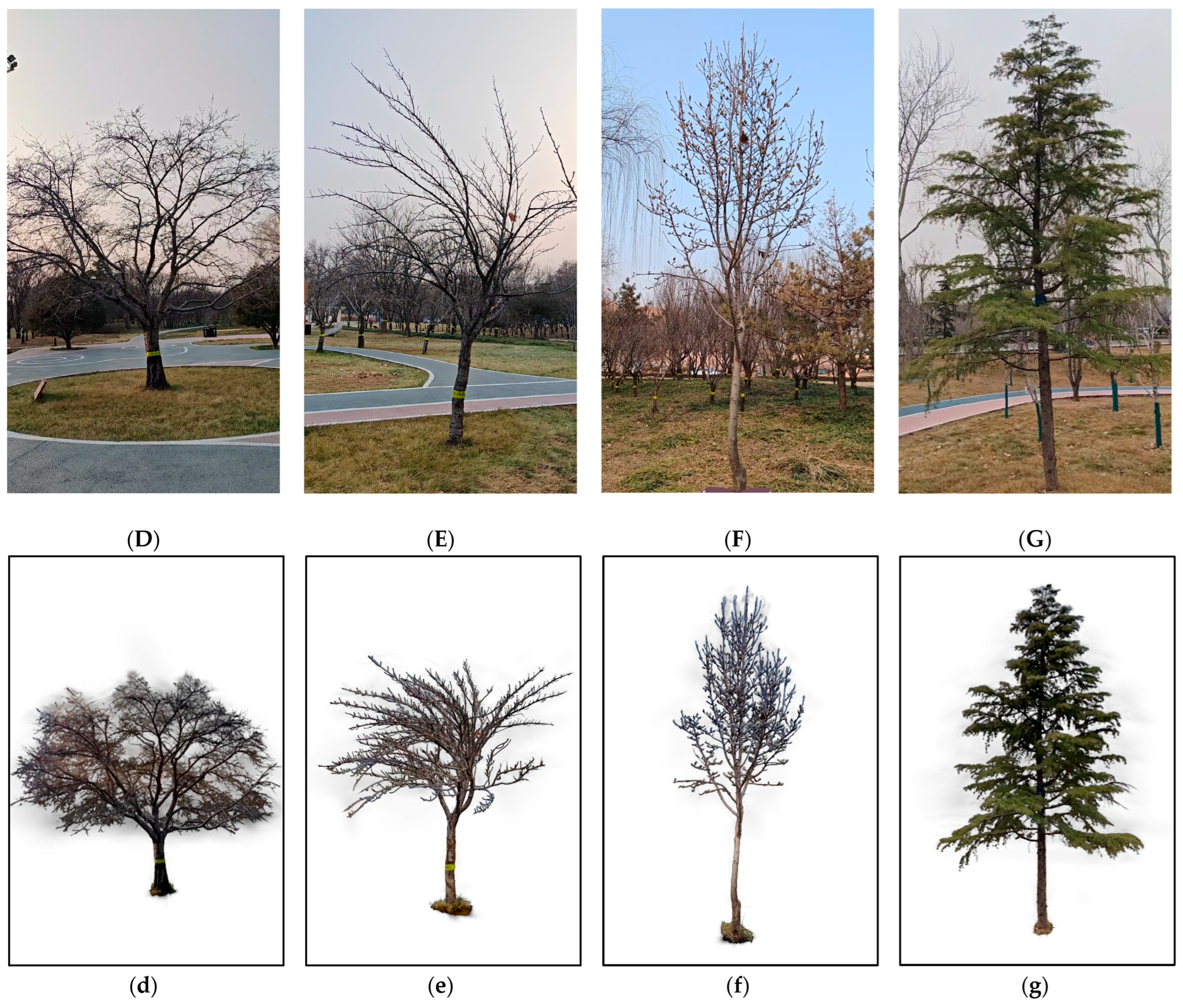 Remotesensing 17 01473 g008b