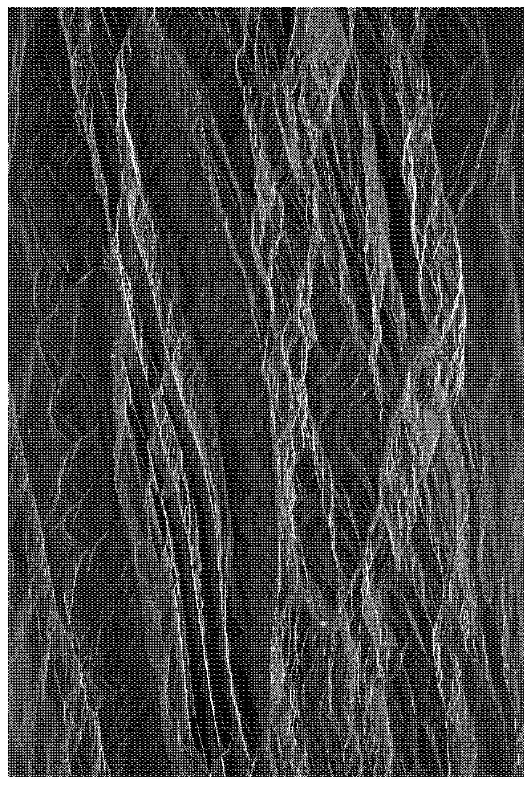 Remotesensing 17 01495 g015