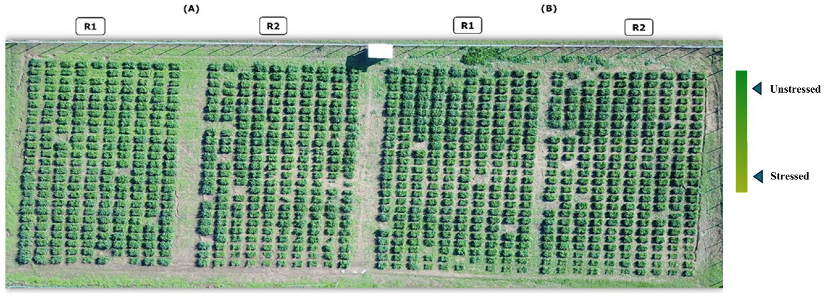 Remotesensing 17 01517 g002