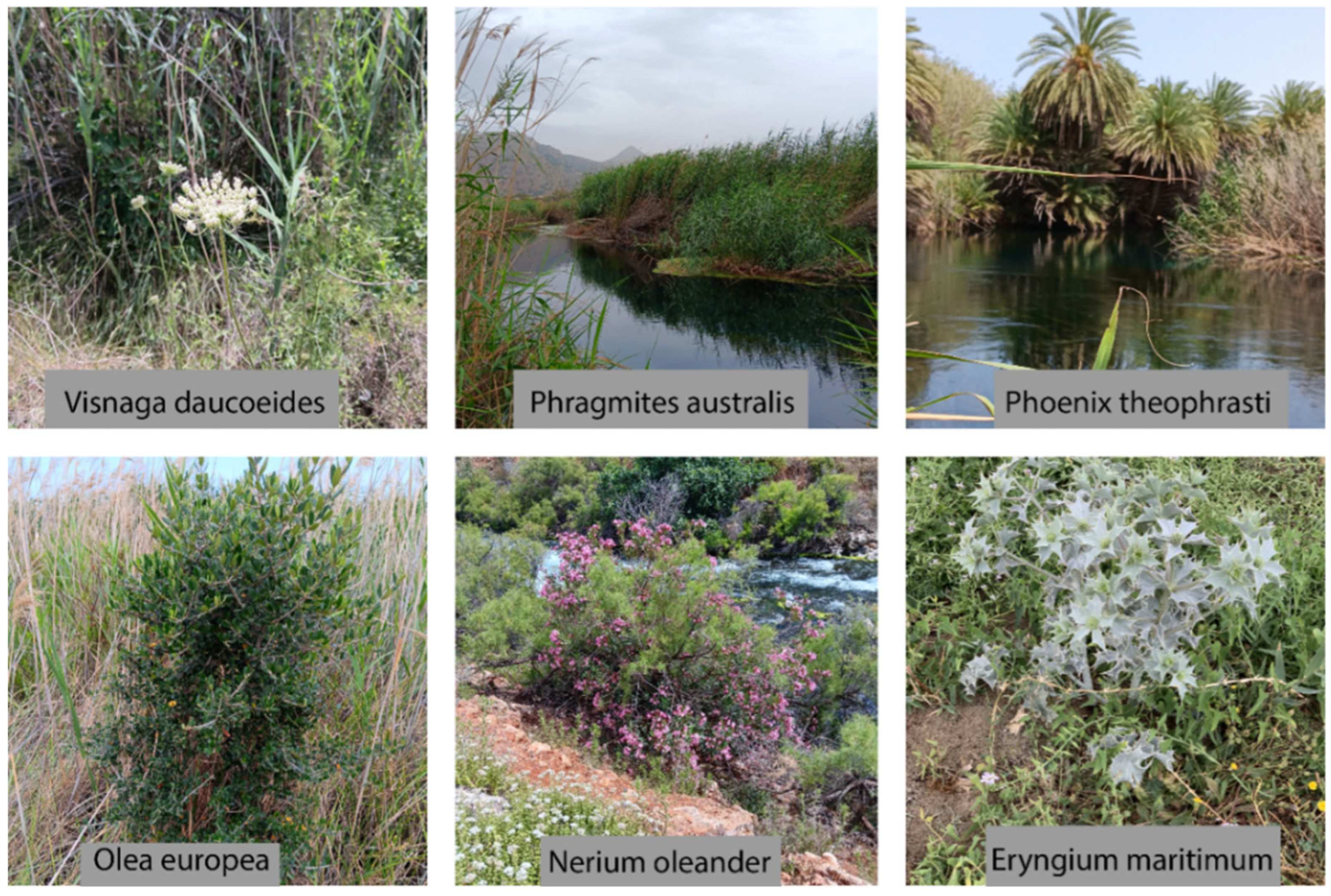 Remotesensing 17 01532 g002