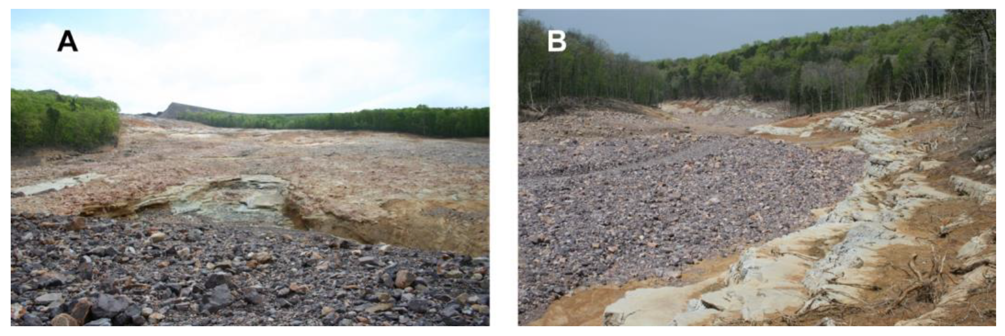 Remotesensing 17 01605 g004