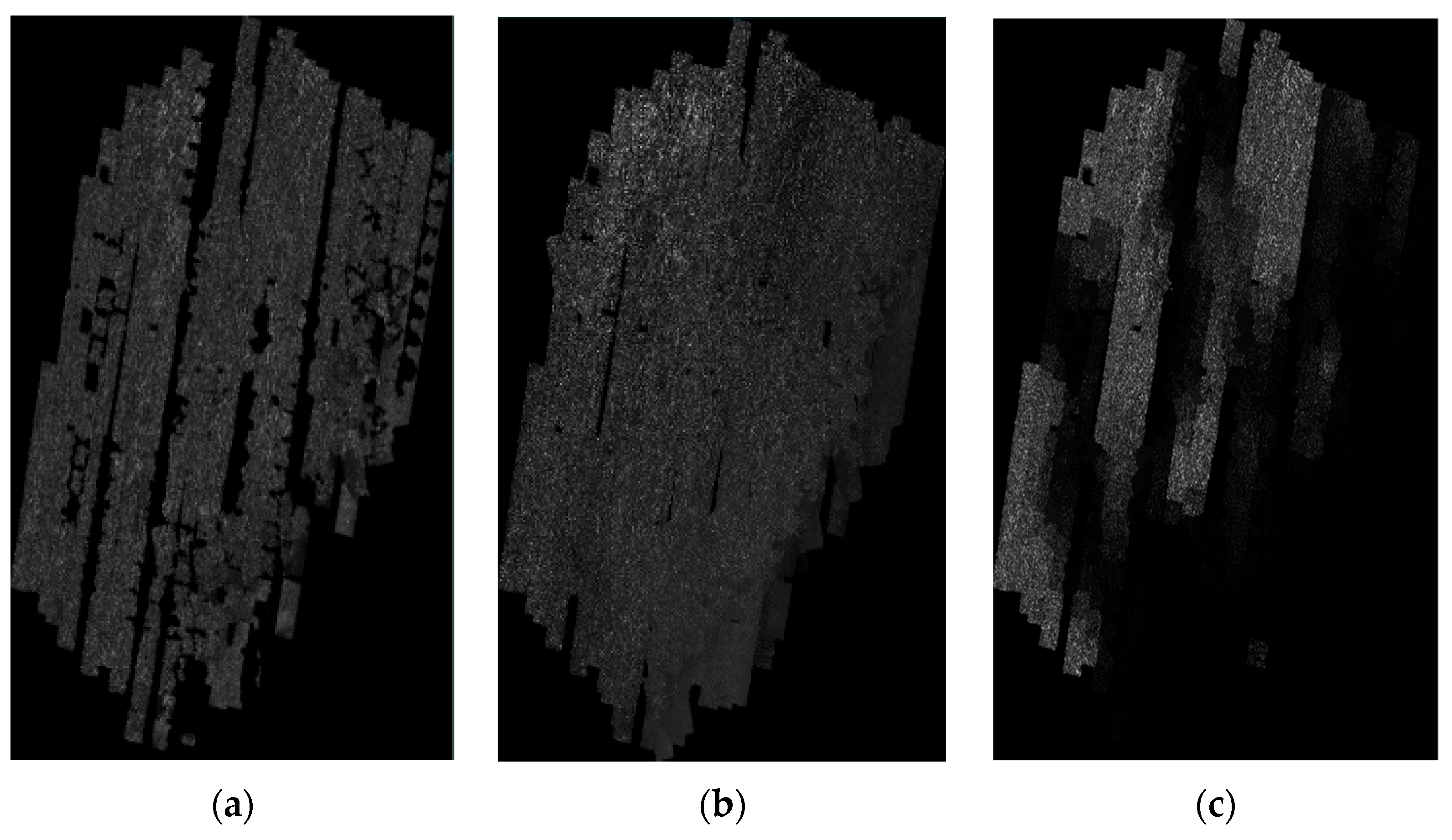 Remotesensing 17 01607 g010a