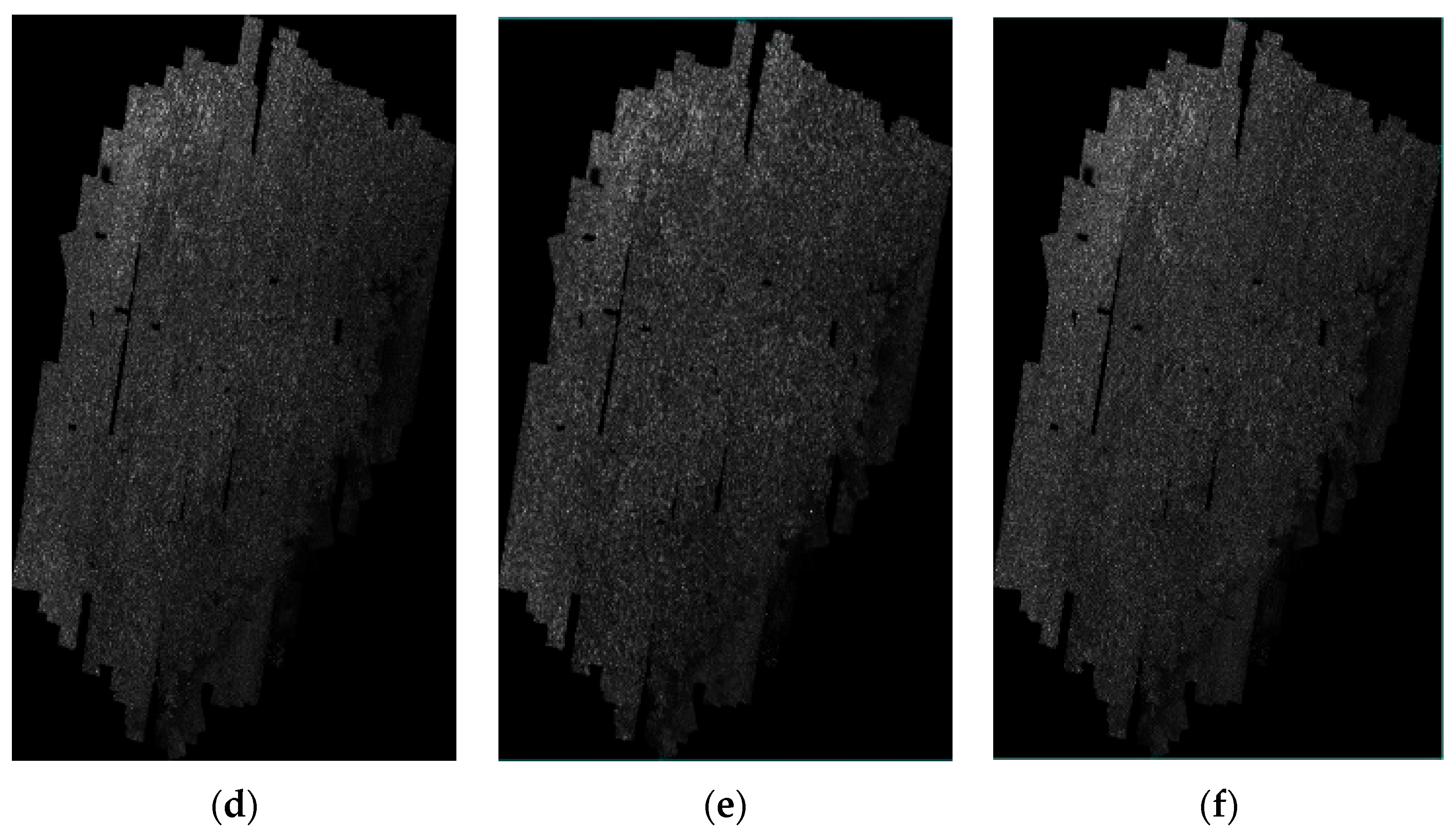 Remotesensing 17 01607 g010b