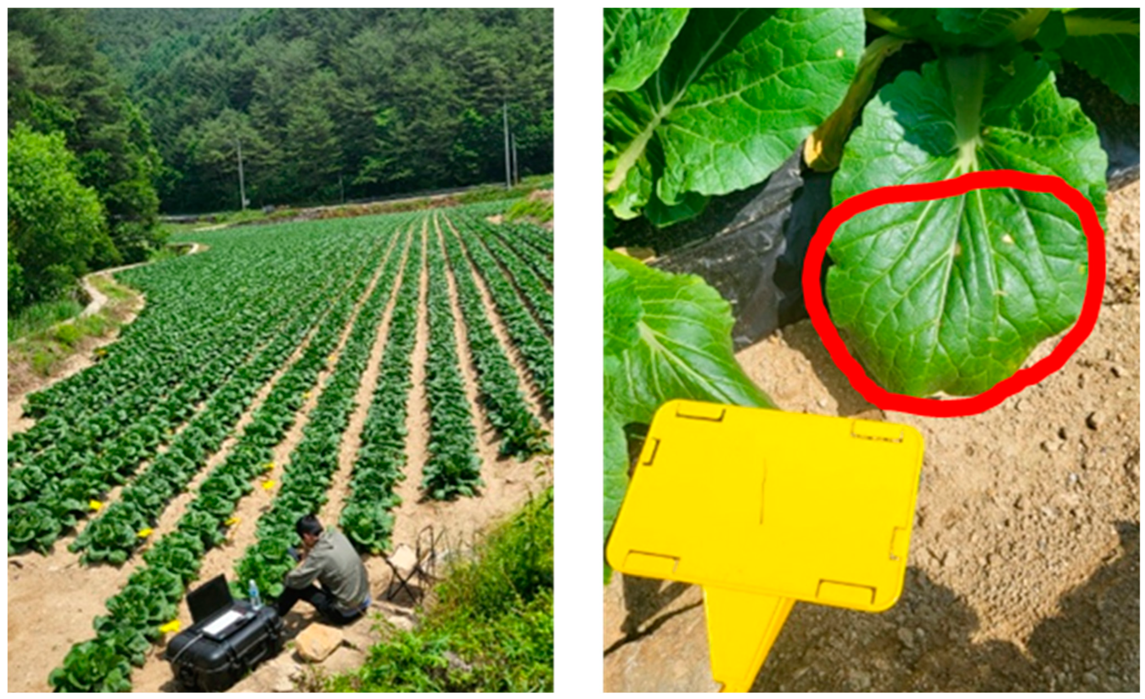 Remotesensing 17 01626 g004