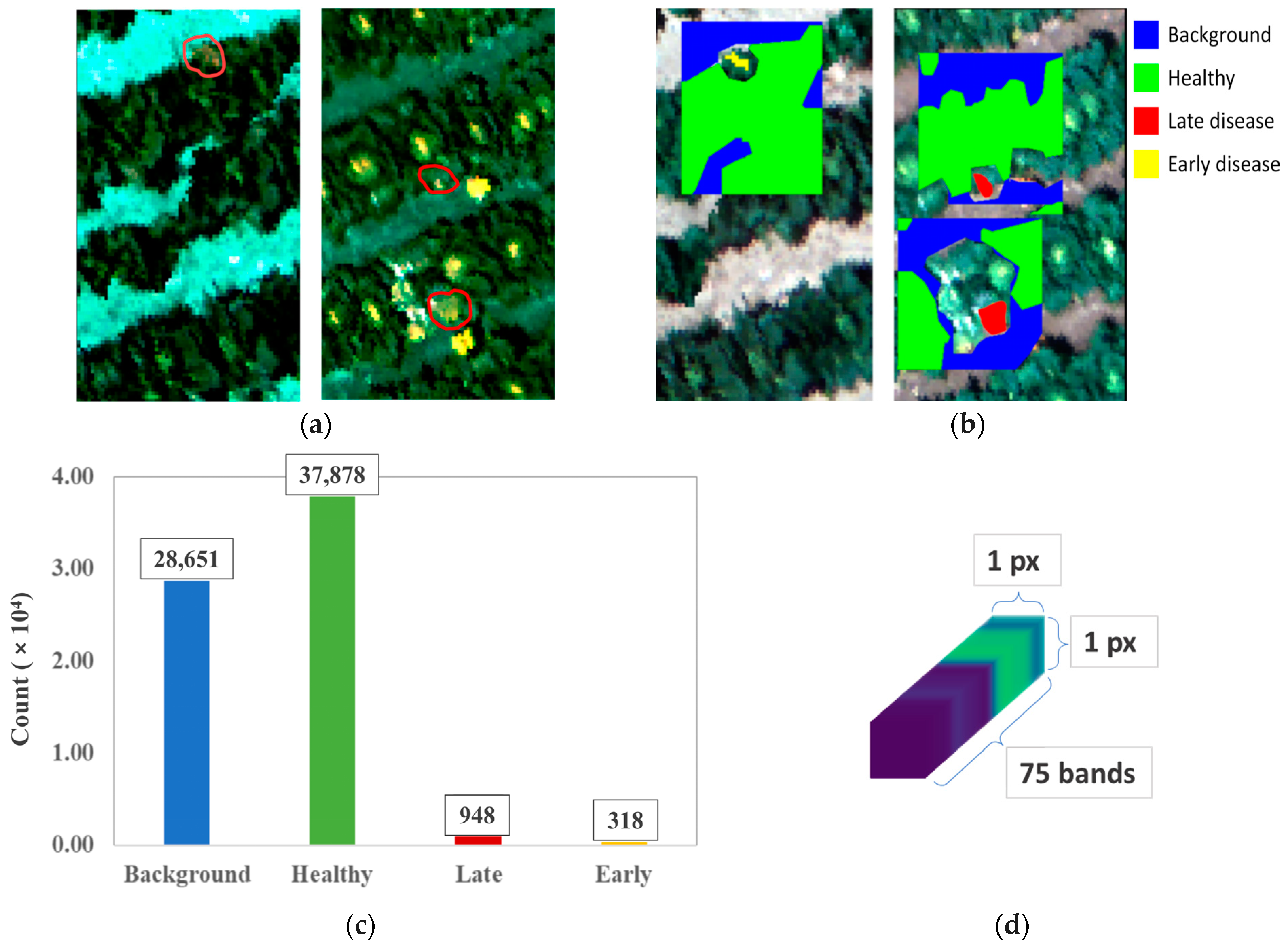 Remotesensing 17 01626 g006