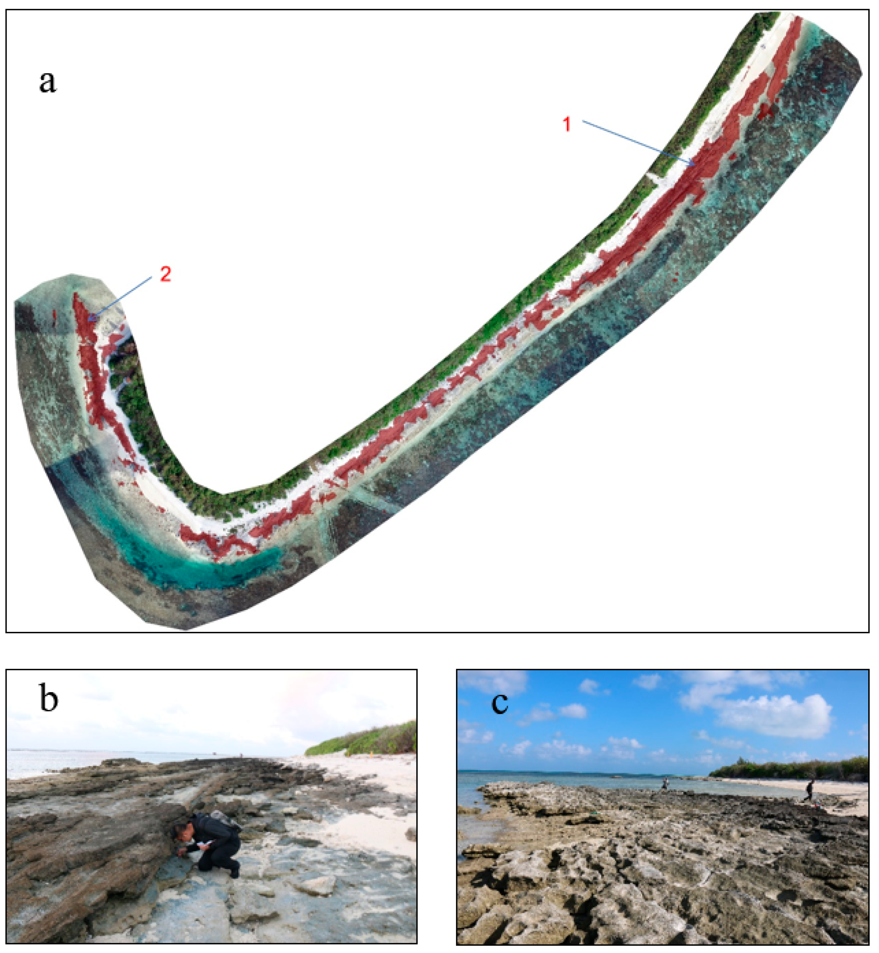 Remotesensing 17 01647 g008