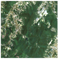 Remotesensing 17 01659 i004