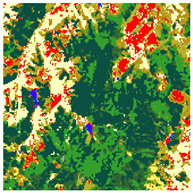 Remotesensing 17 01659 i006