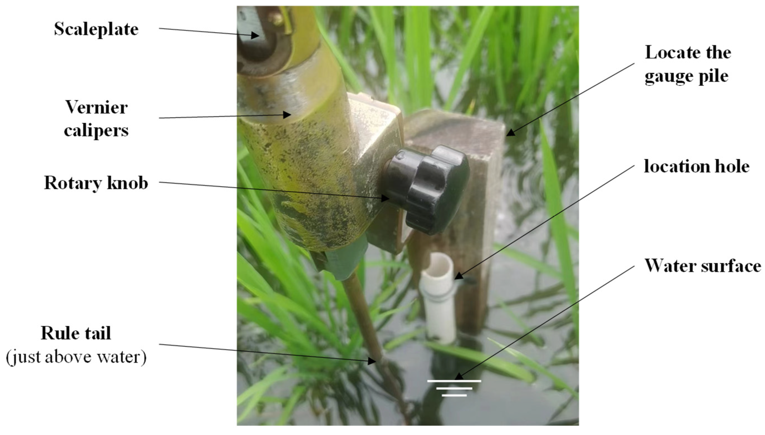 Remotesensing 17 01662 g003