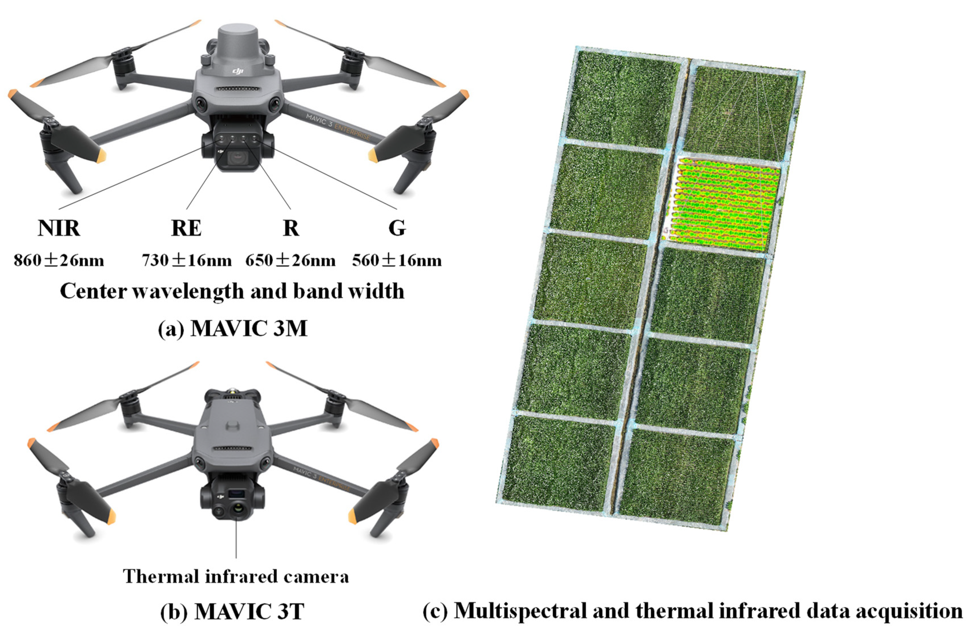 Remotesensing 17 01662 g004