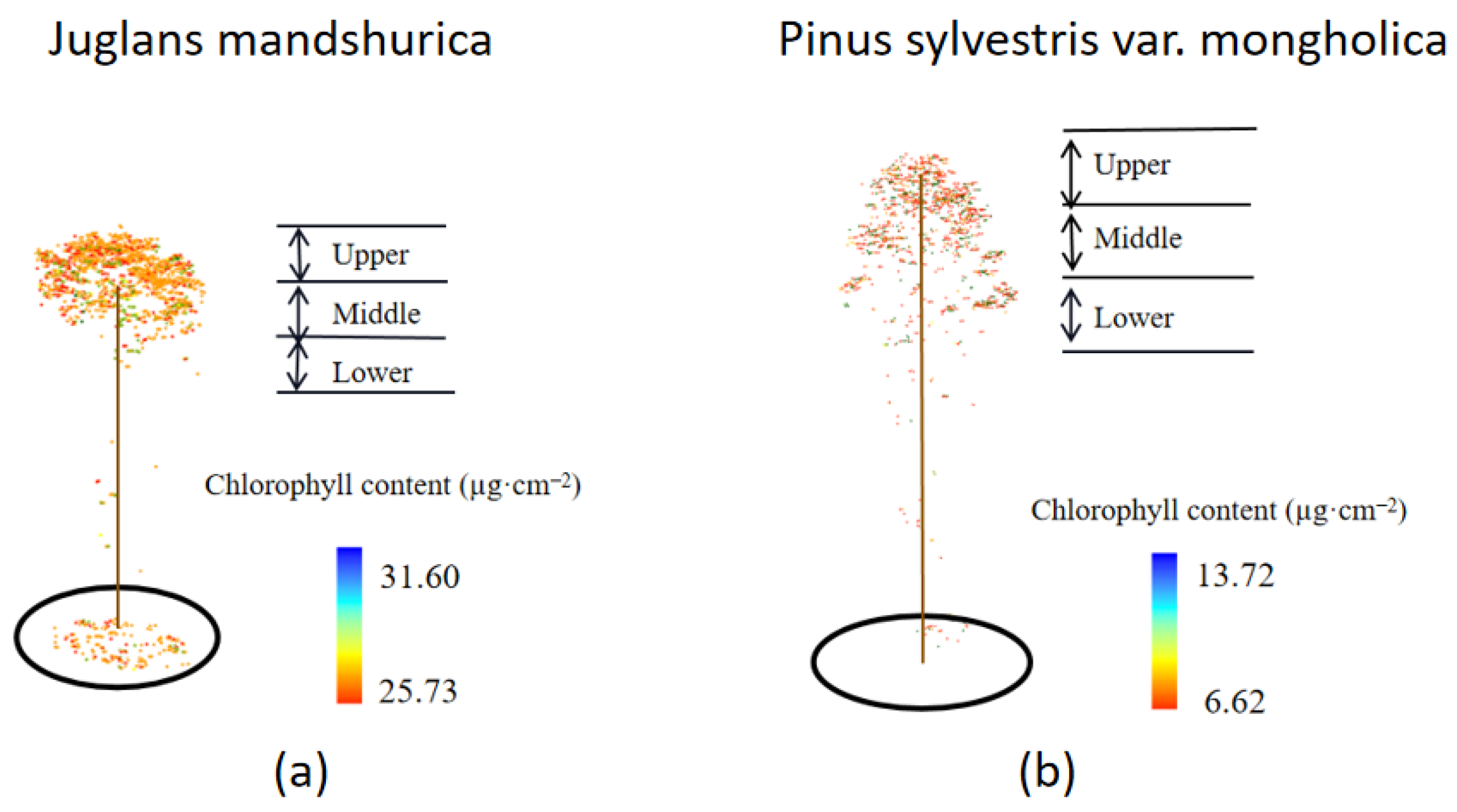 Remotesensing 17 01699 g010