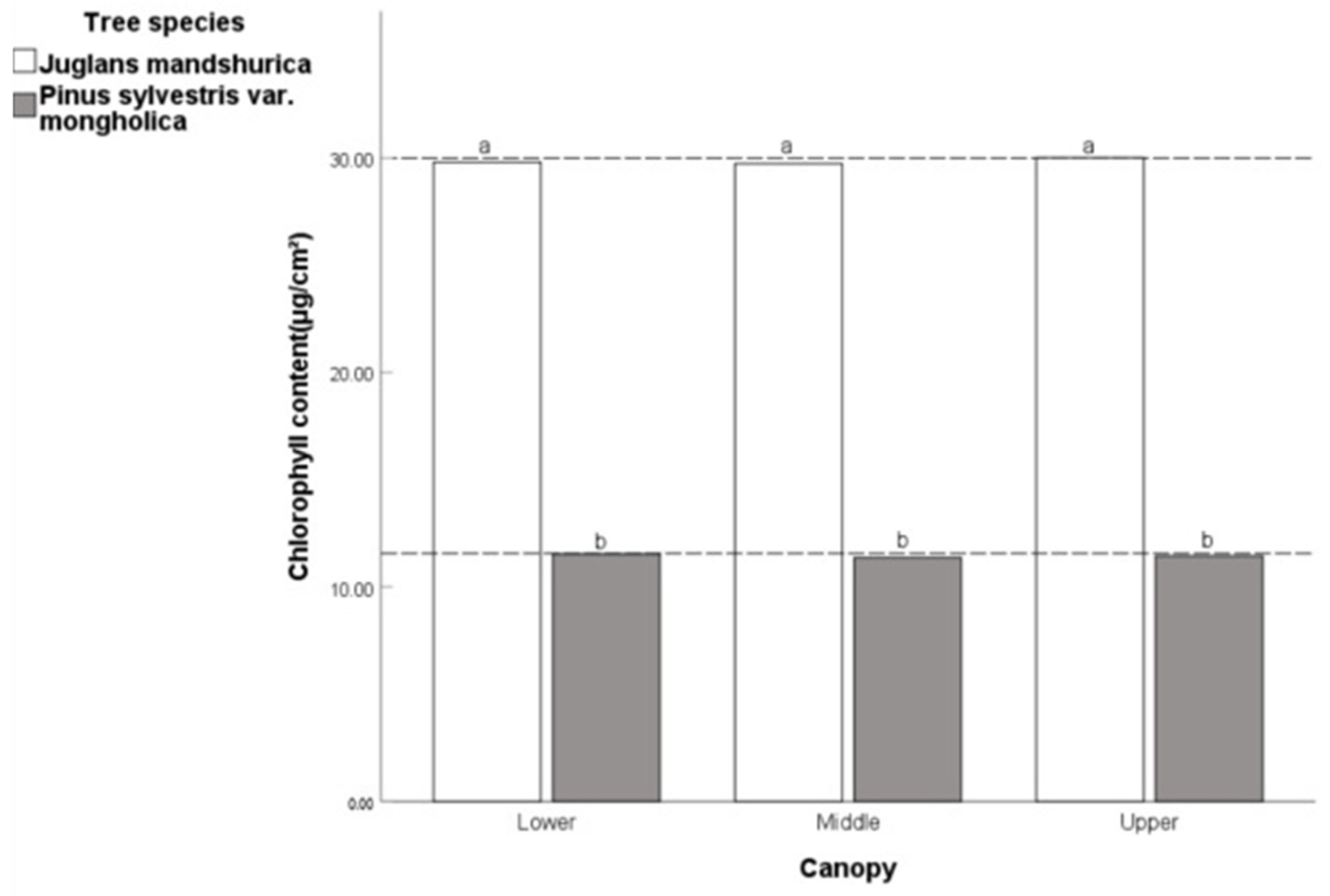 Remotesensing 17 01699 g011