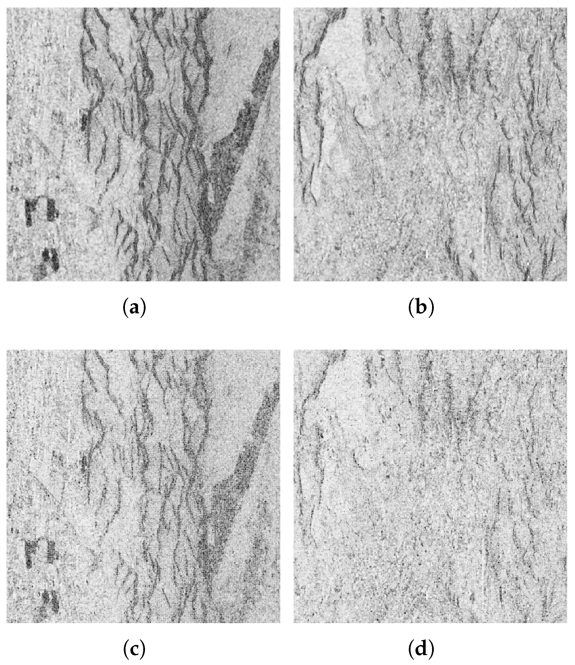 Remotesensing 17 01726 g012