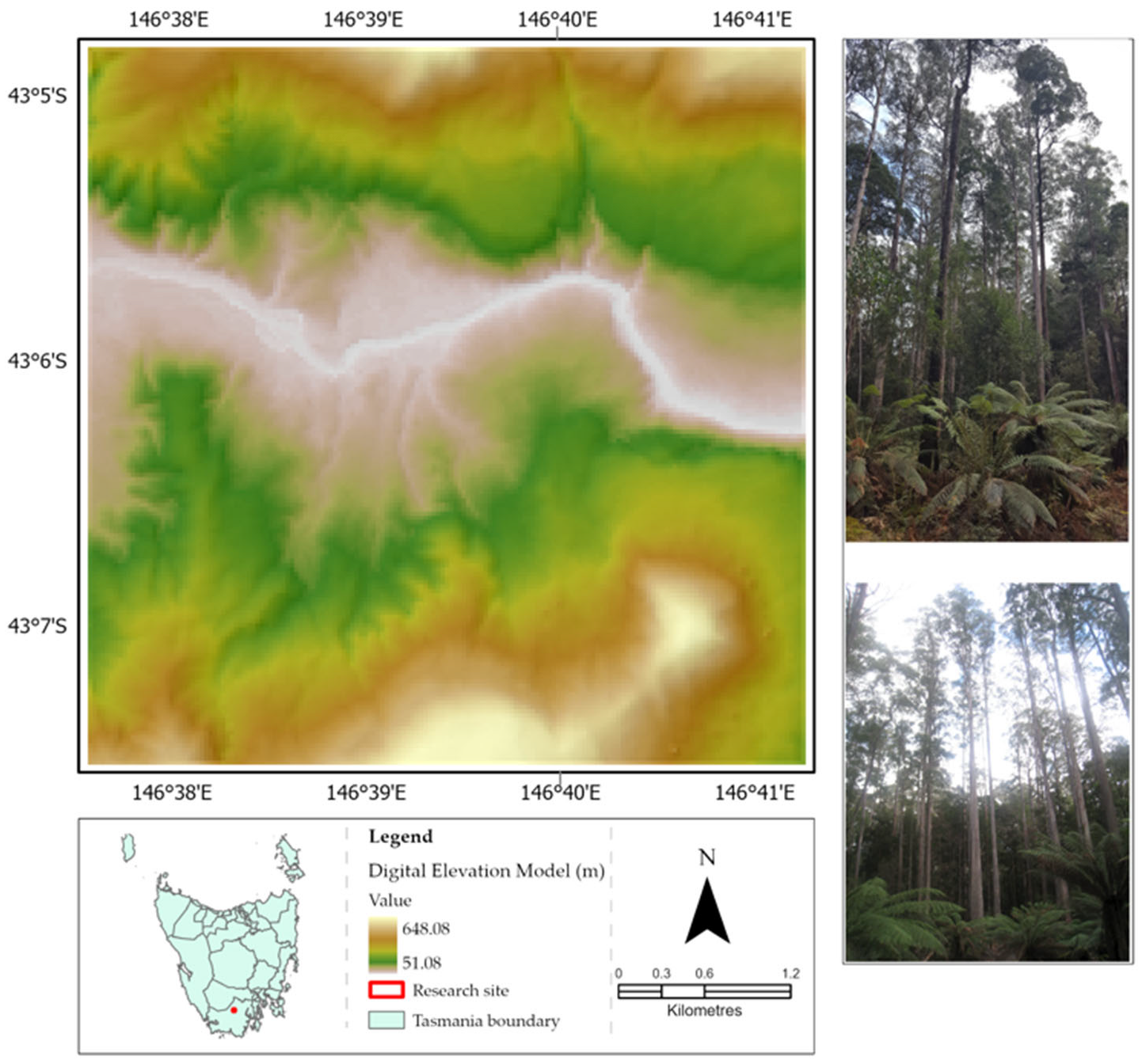 Remotesensing 17 01733 g001