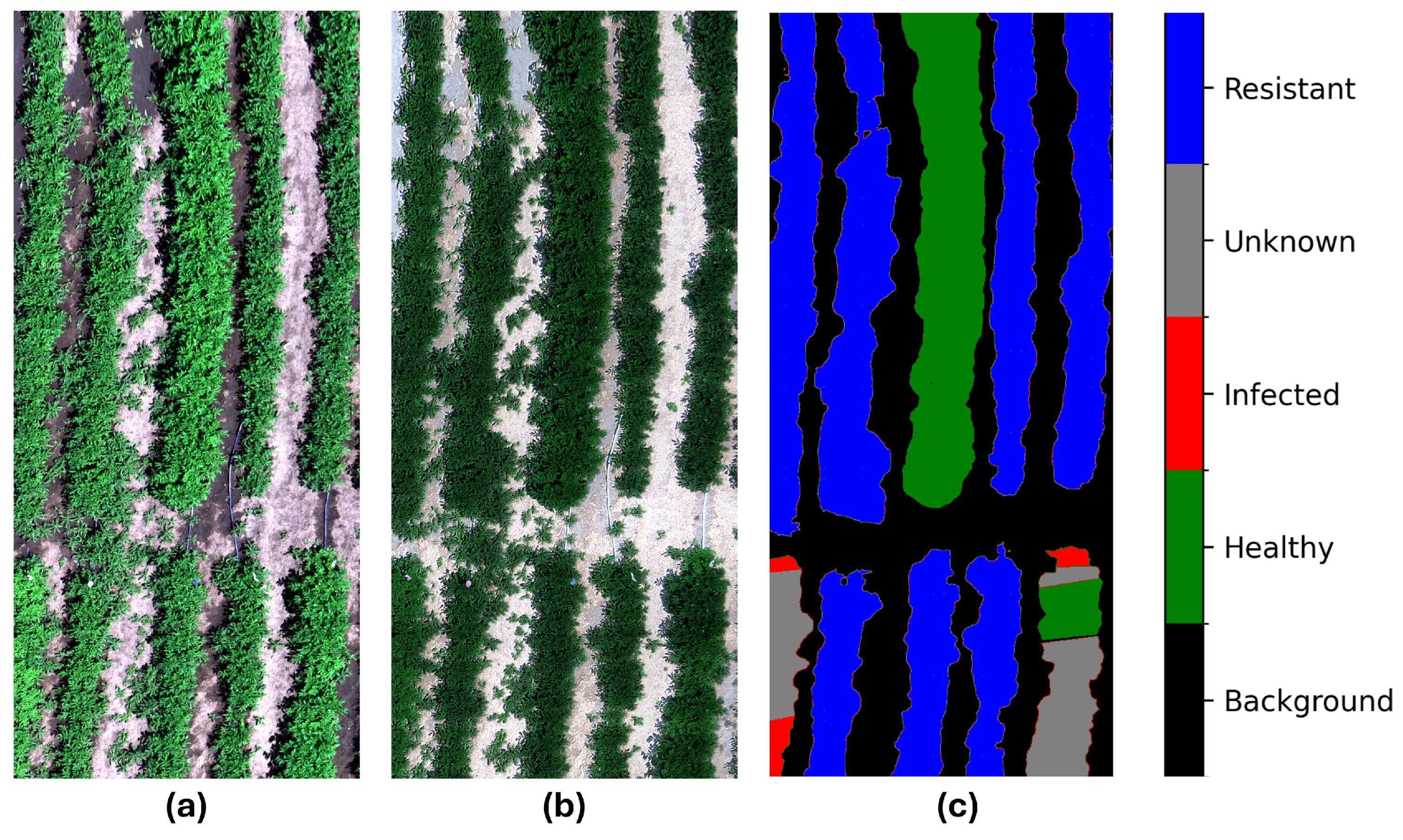 Remotesensing 17 01735 g005