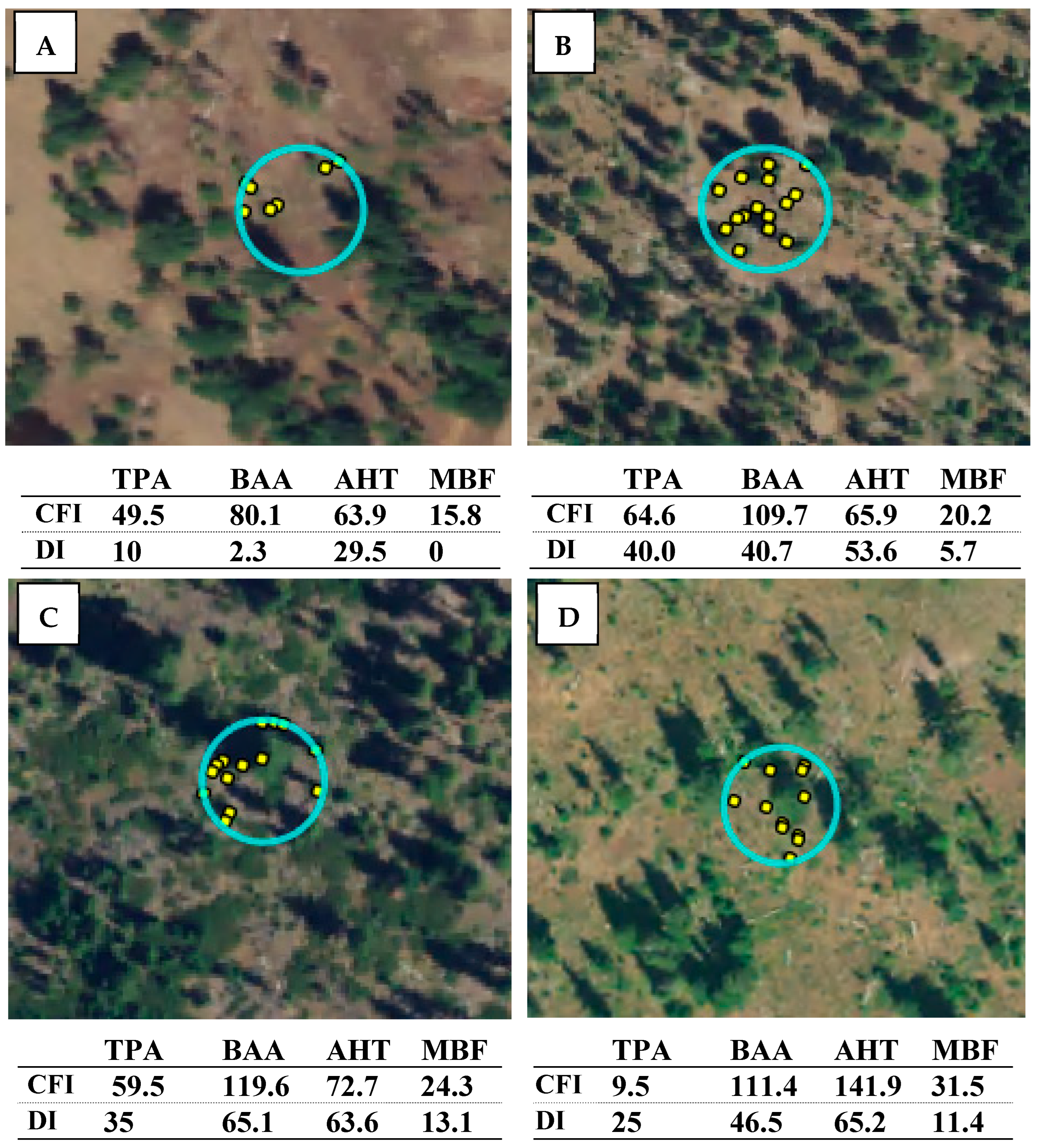 Remotesensing 17 01761 g002