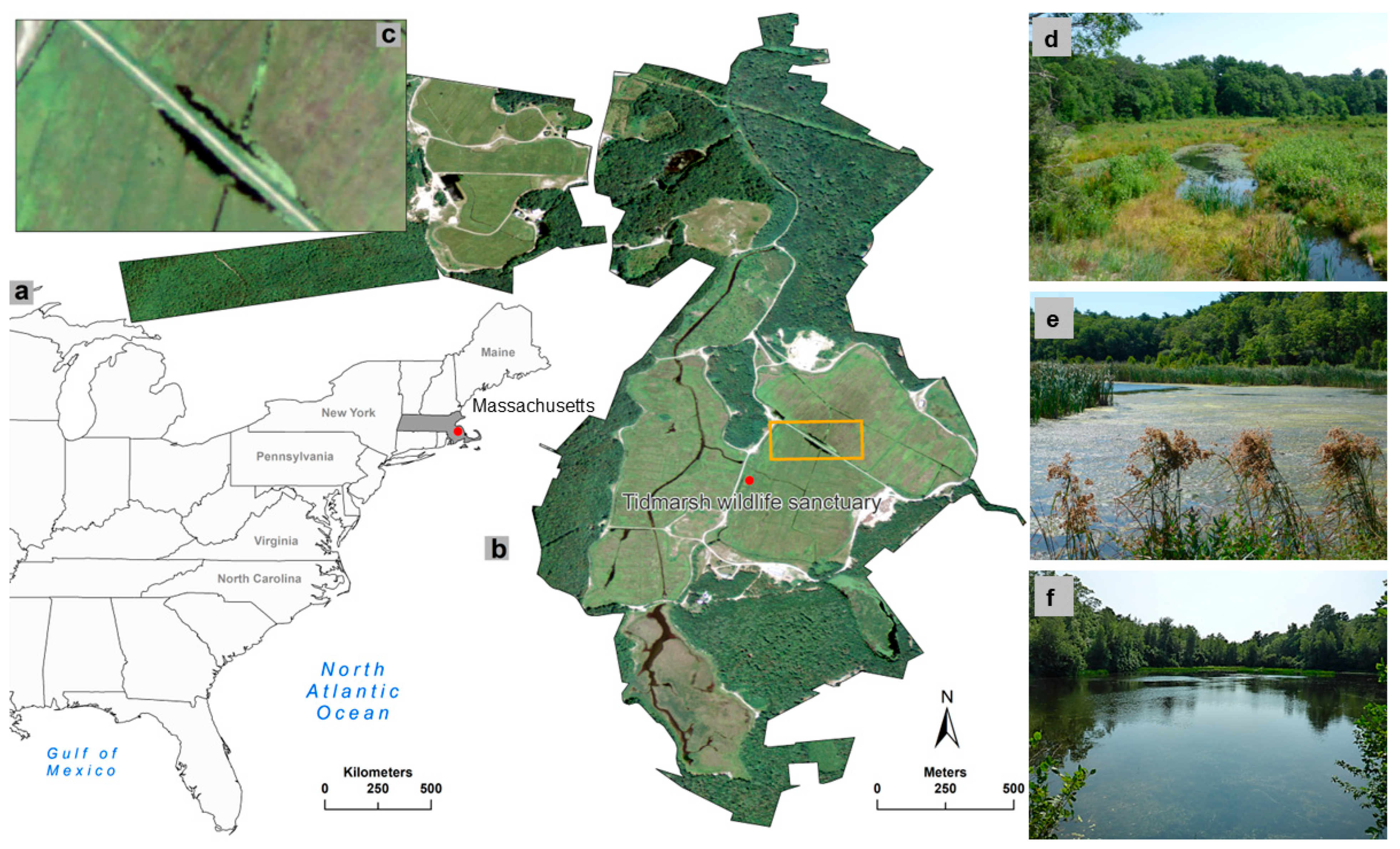 Remotesensing 17 01778 g001