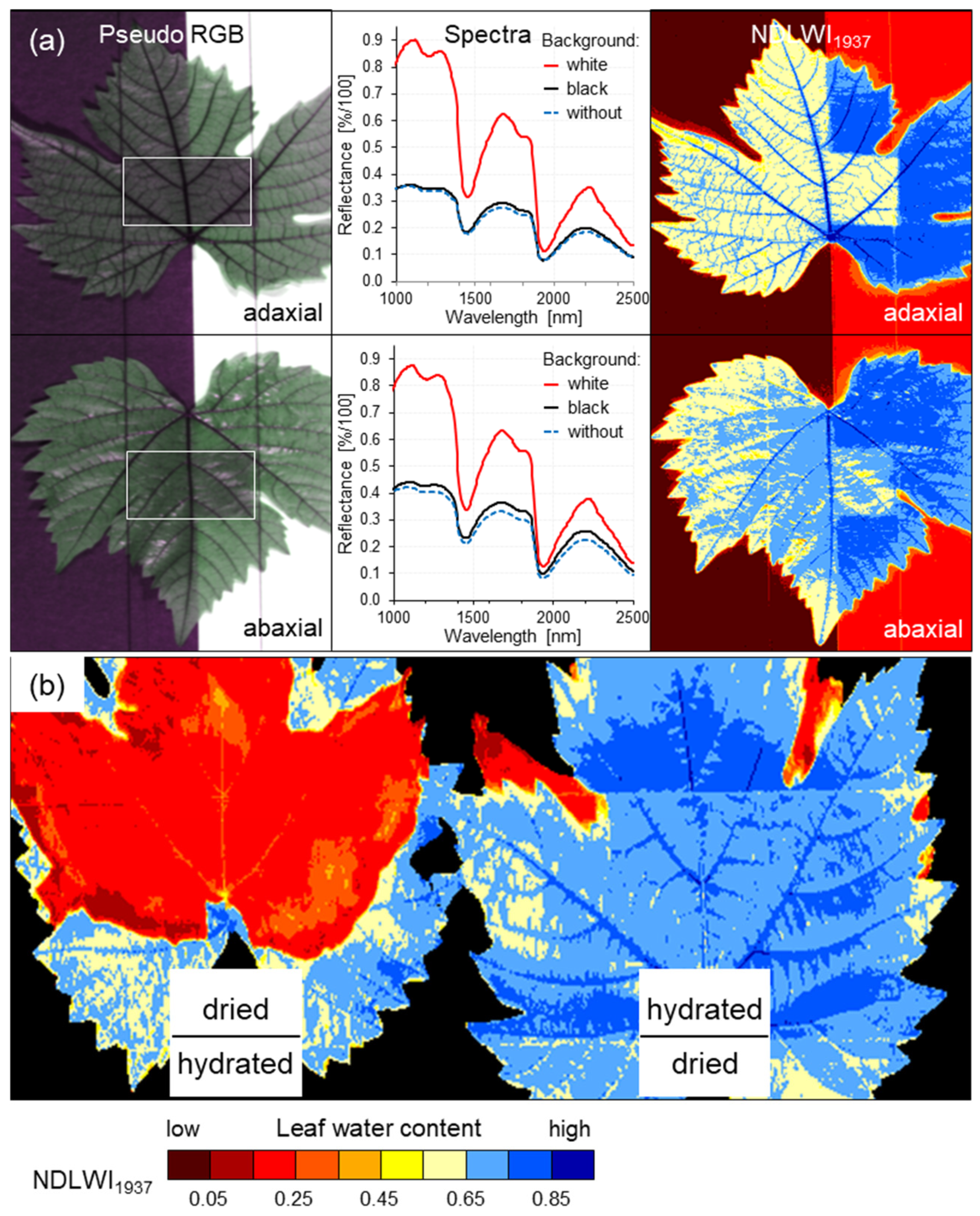 Remotesensing 17 01788 g002