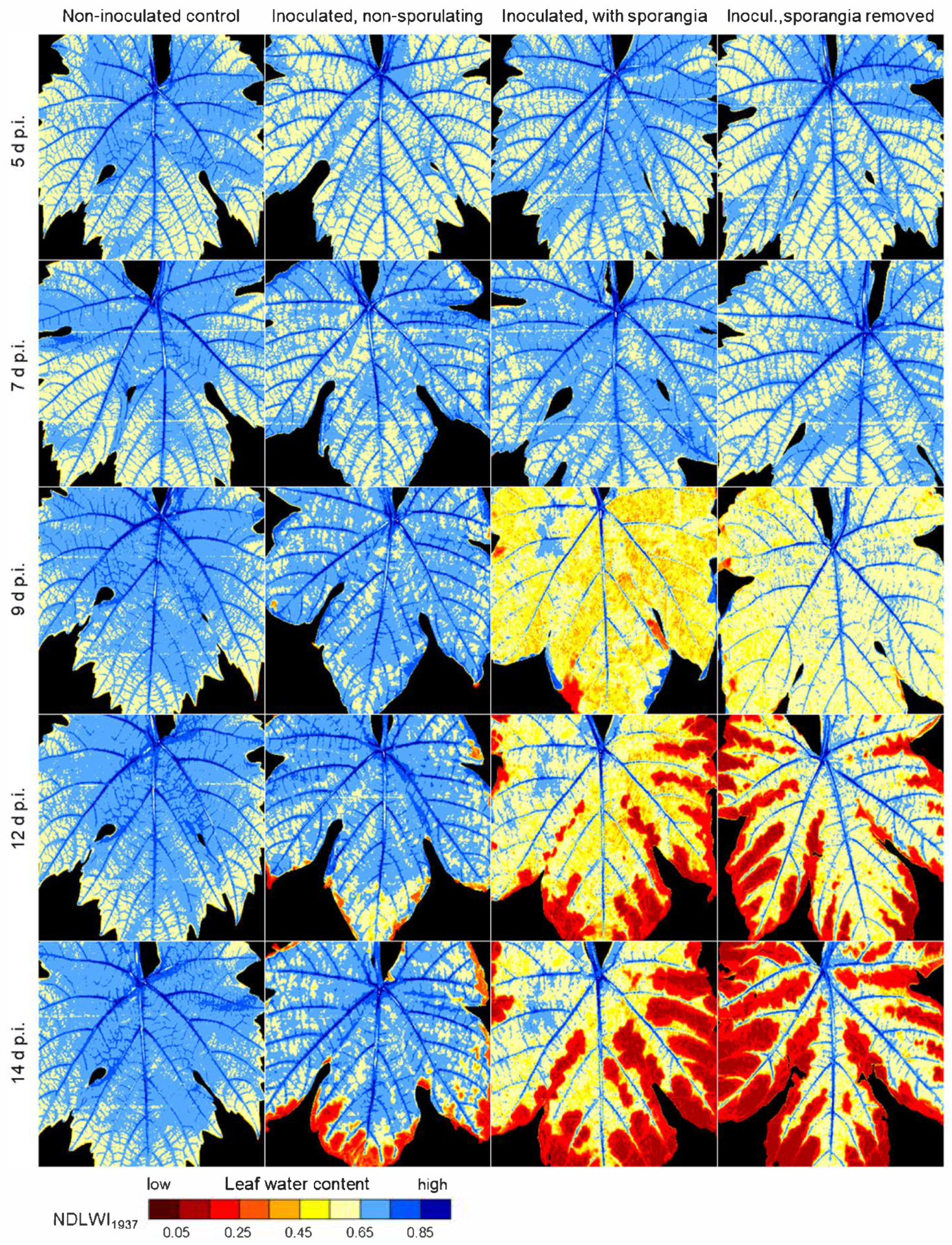 Remotesensing 17 01788 g003