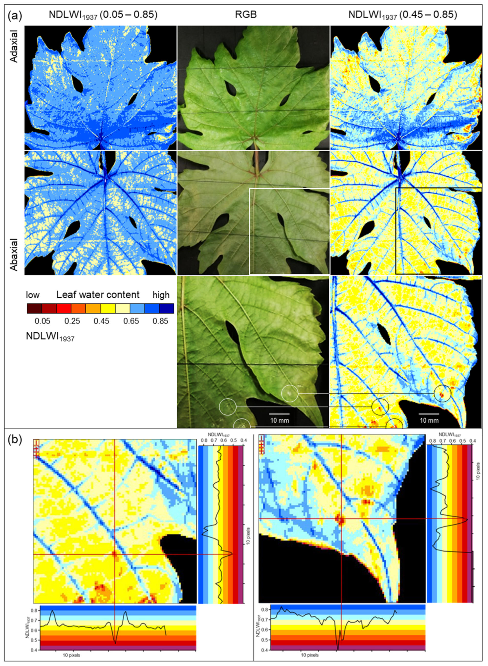 Remotesensing 17 01788 g004