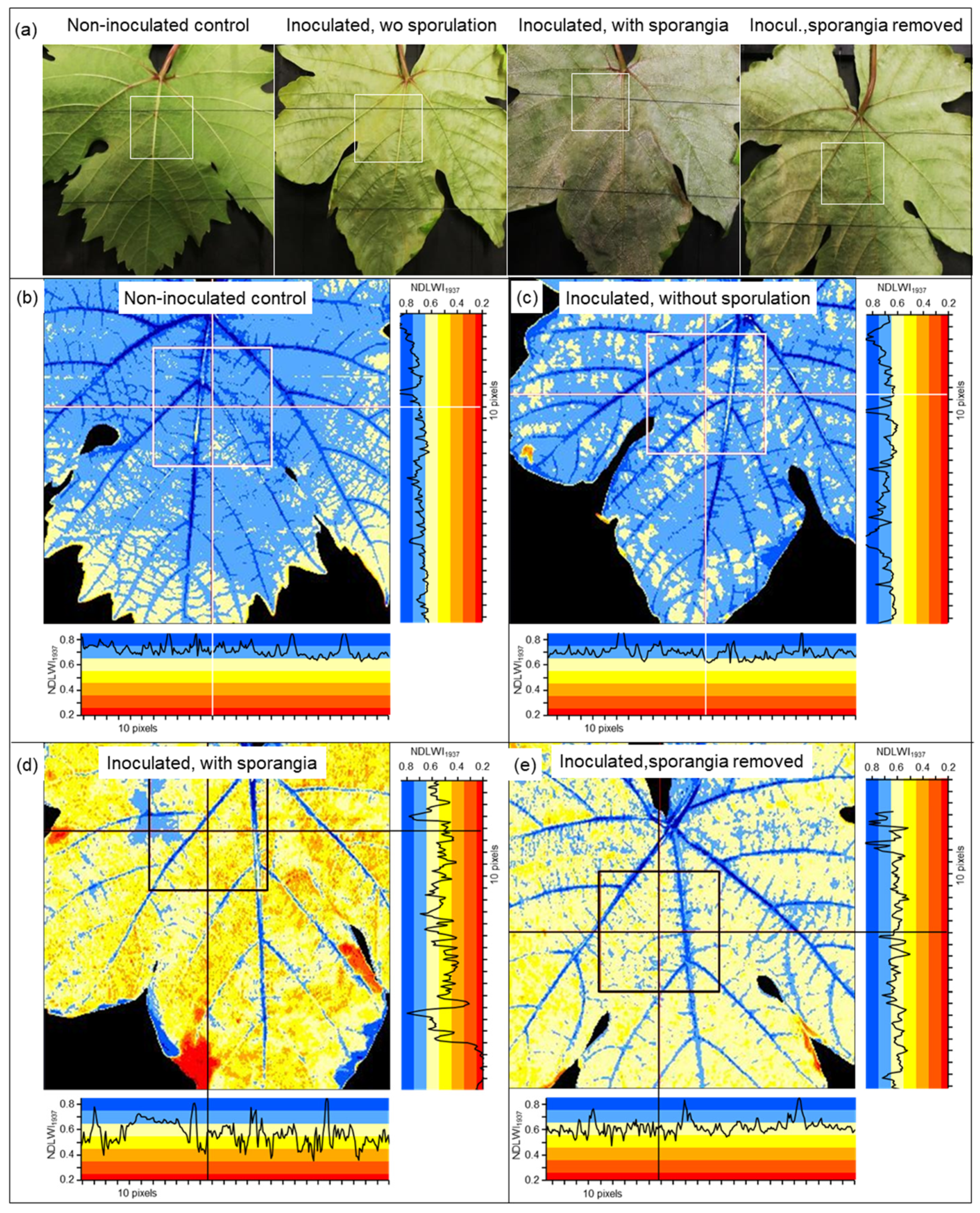 Remotesensing 17 01788 g005