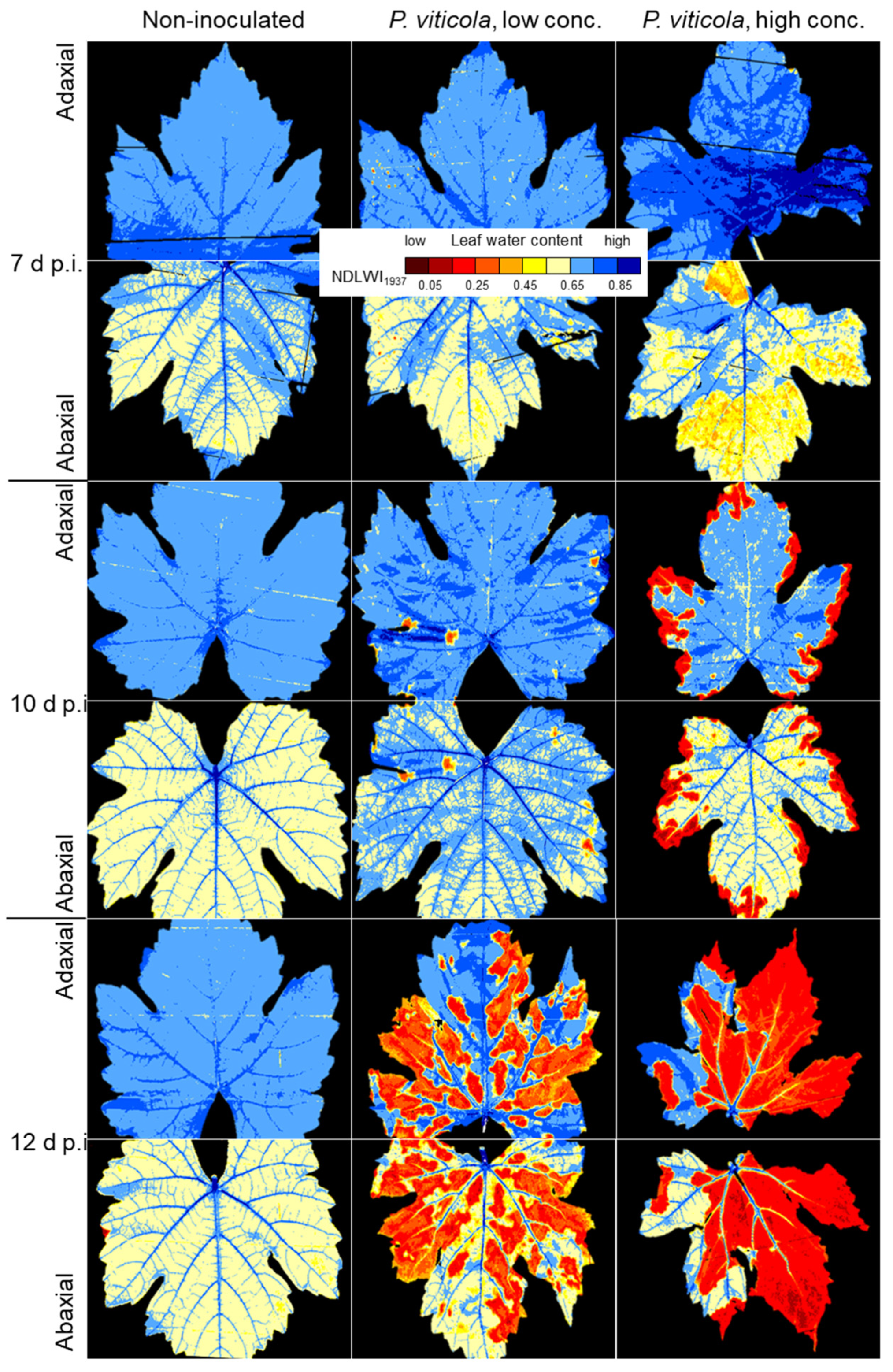 Remotesensing 17 01788 g006