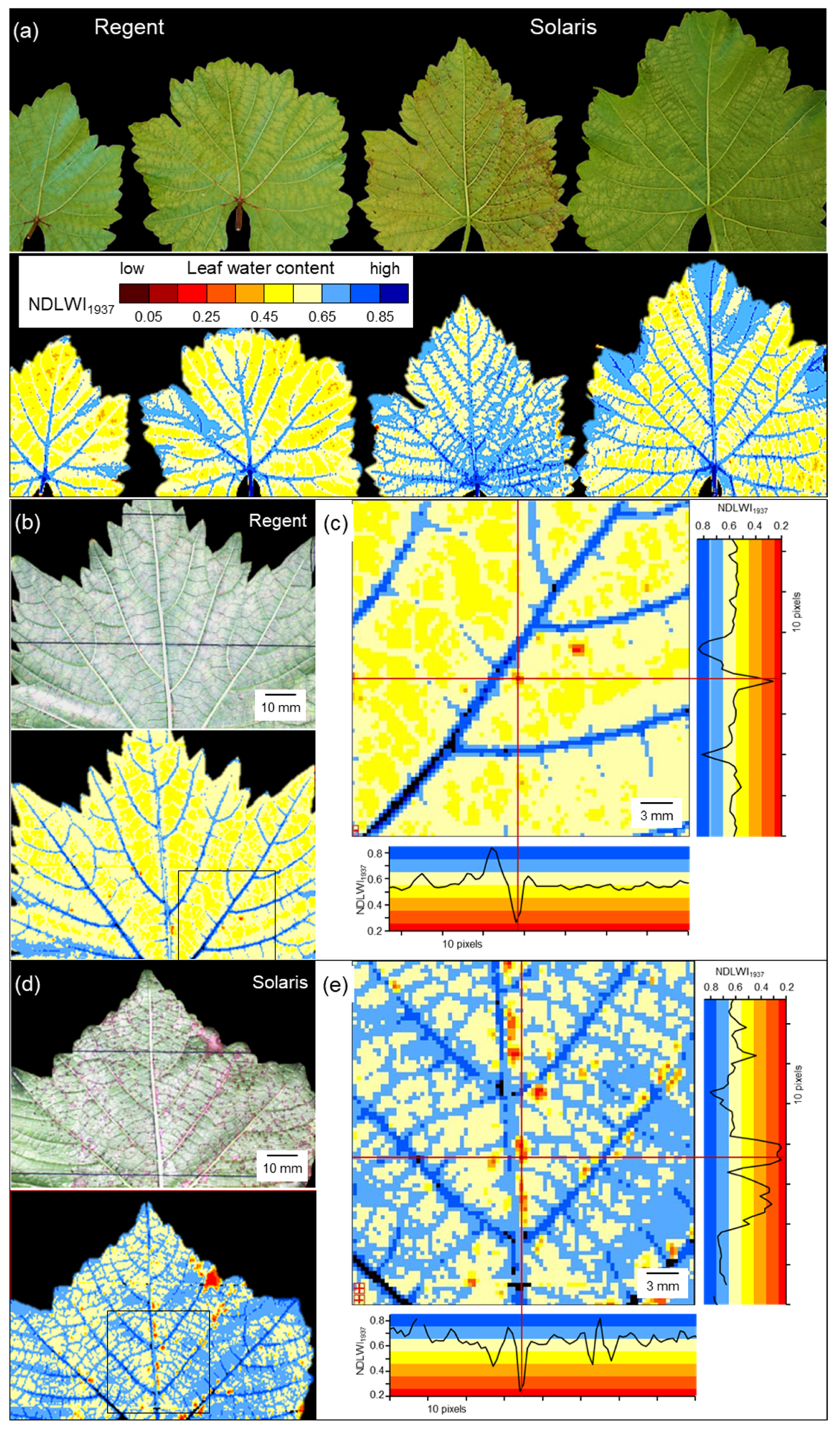 Remotesensing 17 01788 g007