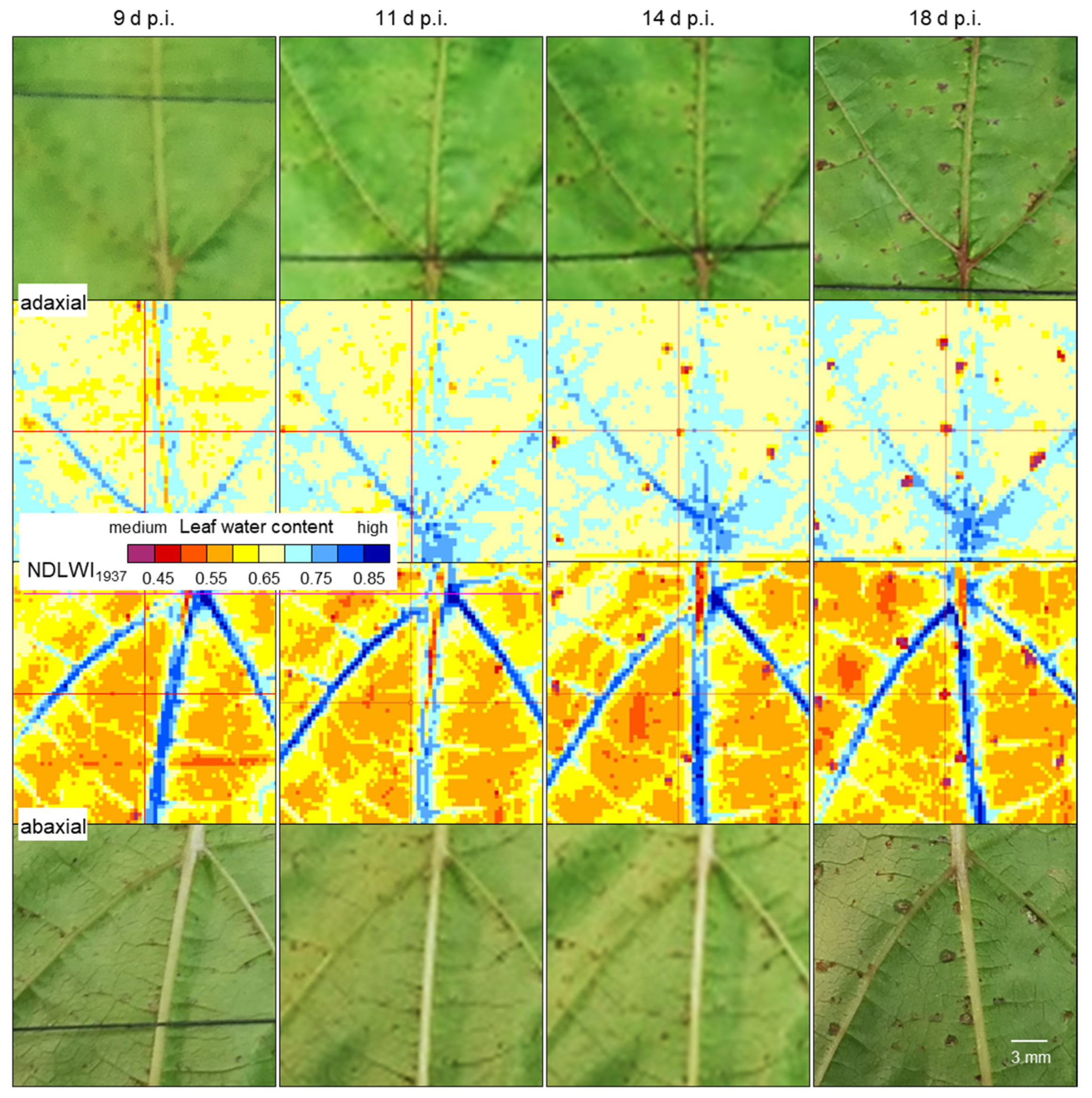 Remotesensing 17 01788 g008