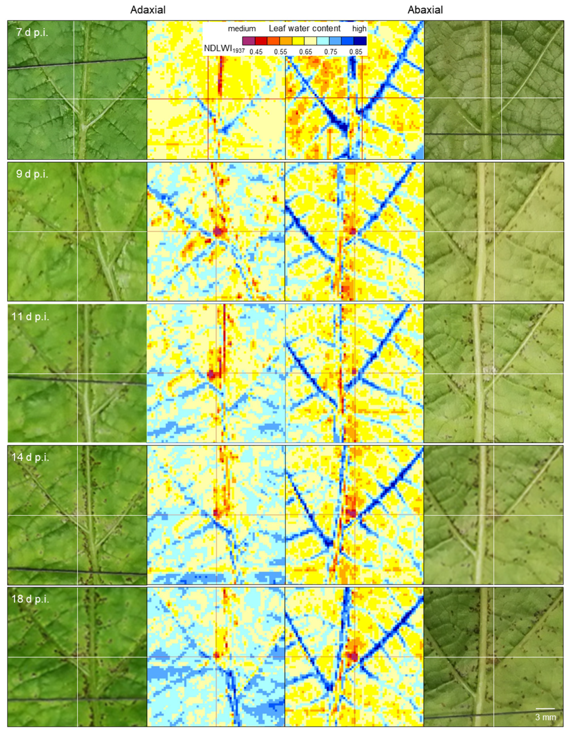 Remotesensing 17 01788 g009