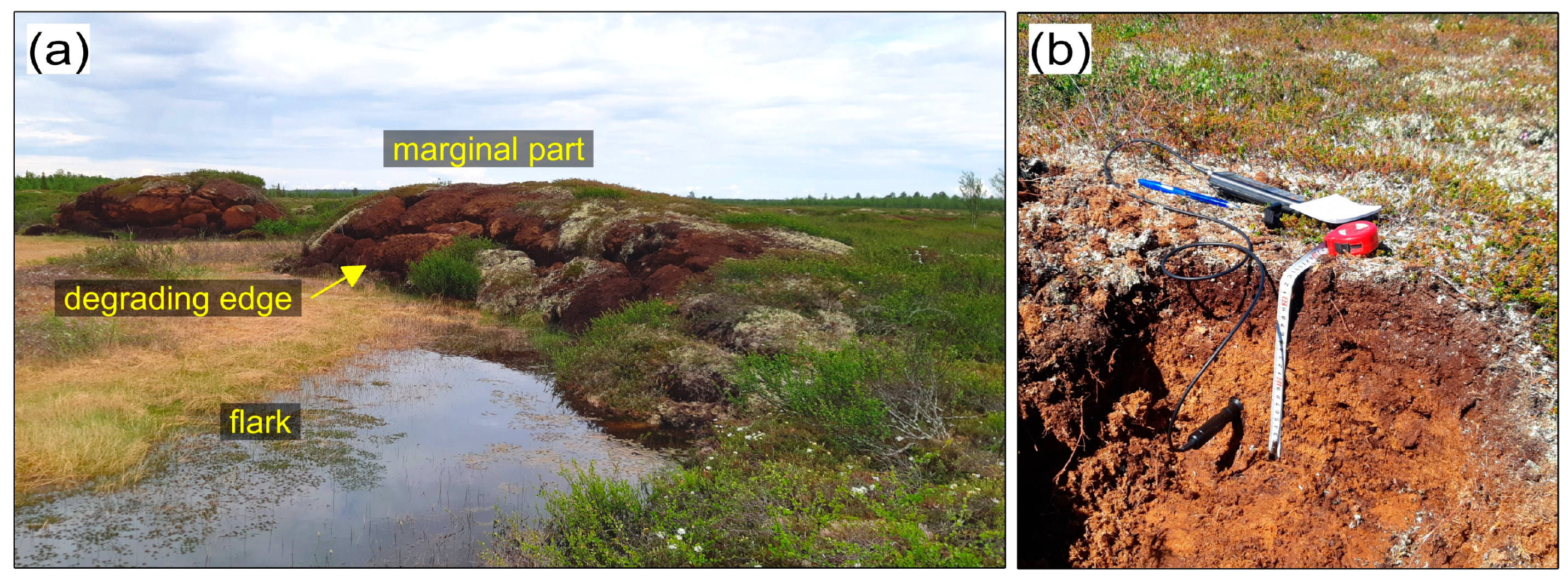 Remotesensing 17 01805 g002