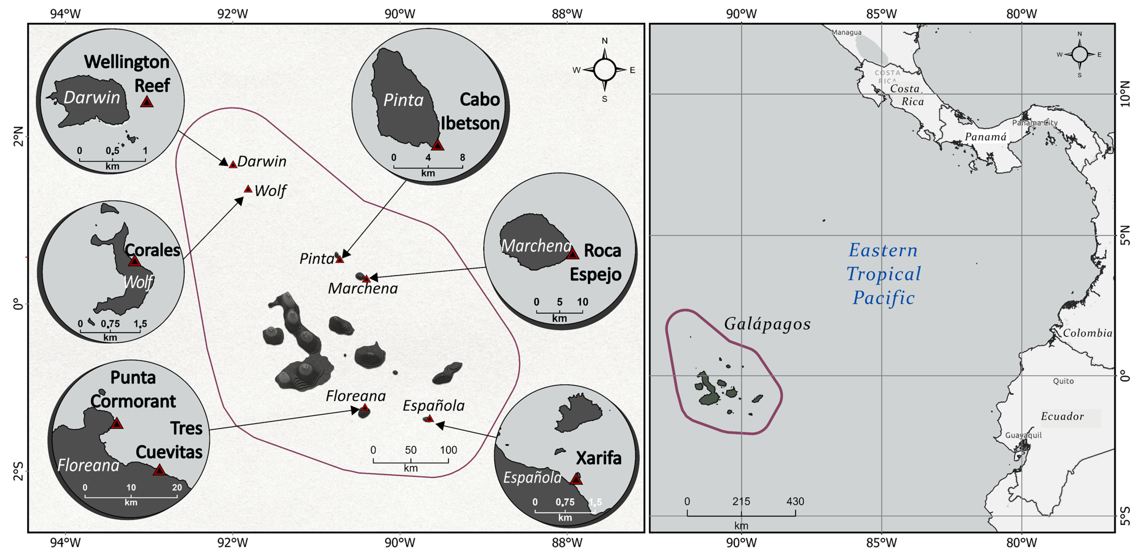 Remotesensing 17 01831 g001