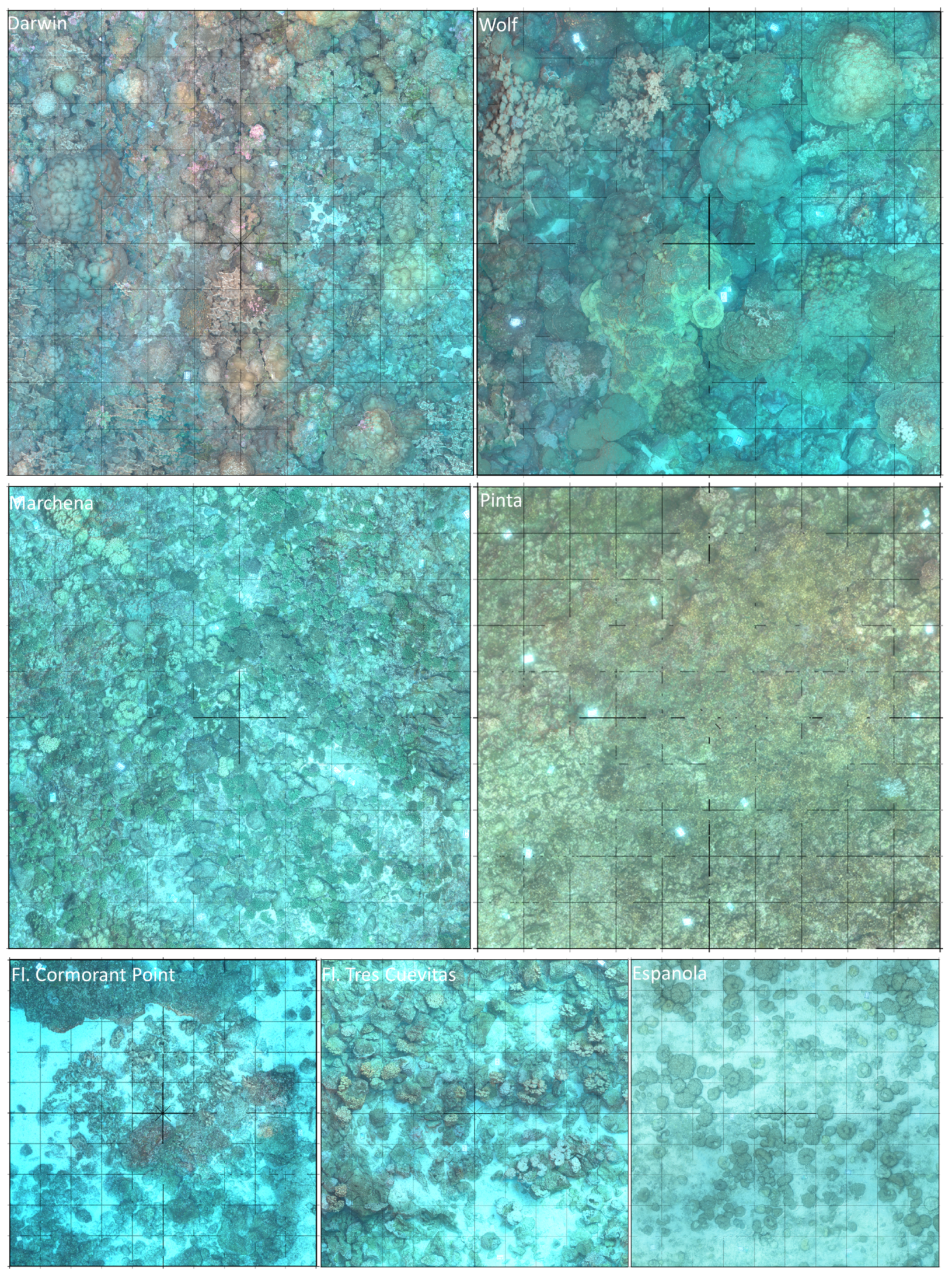 Remotesensing 17 01831 g002