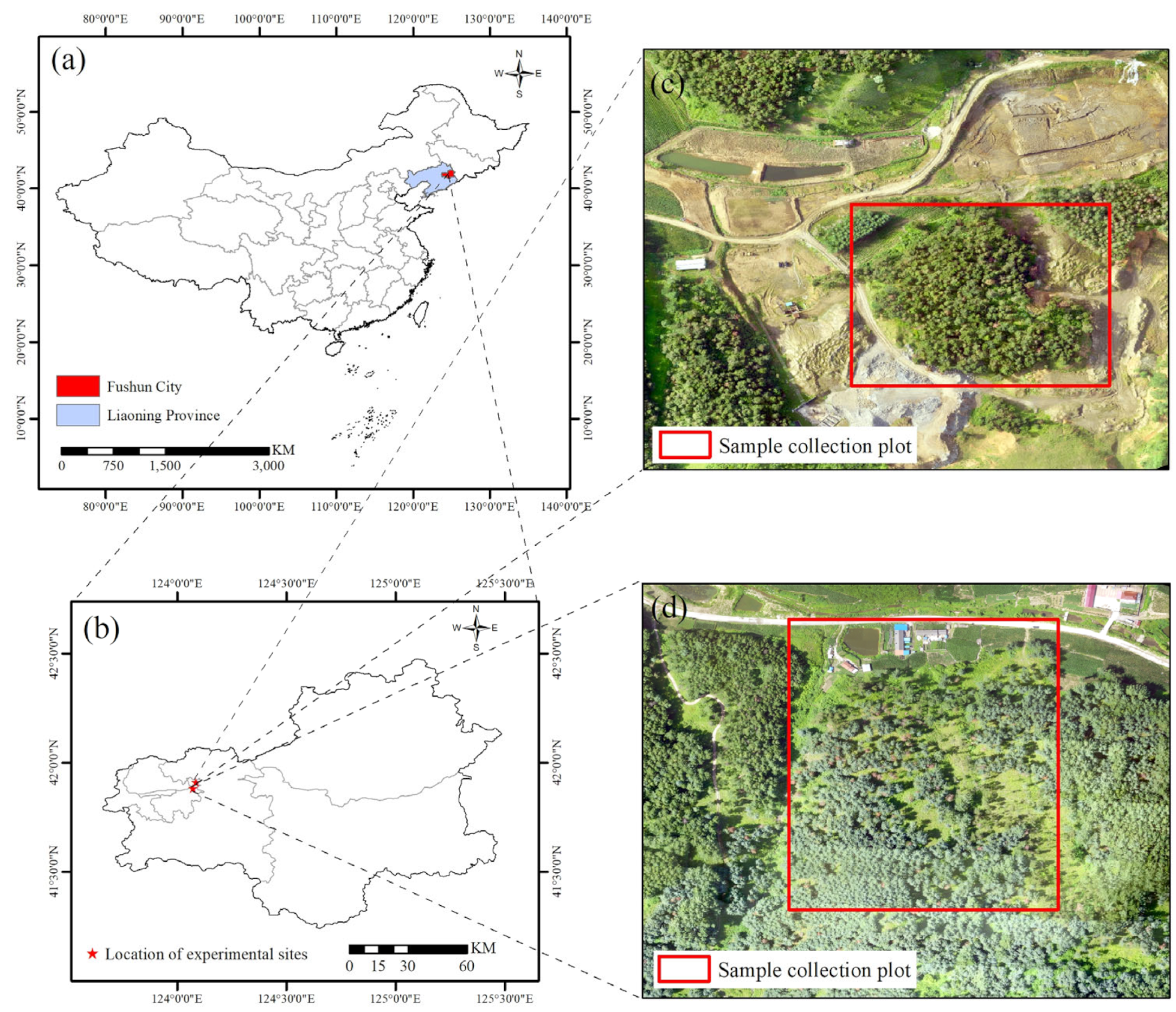 Remotesensing 17 01833 g001